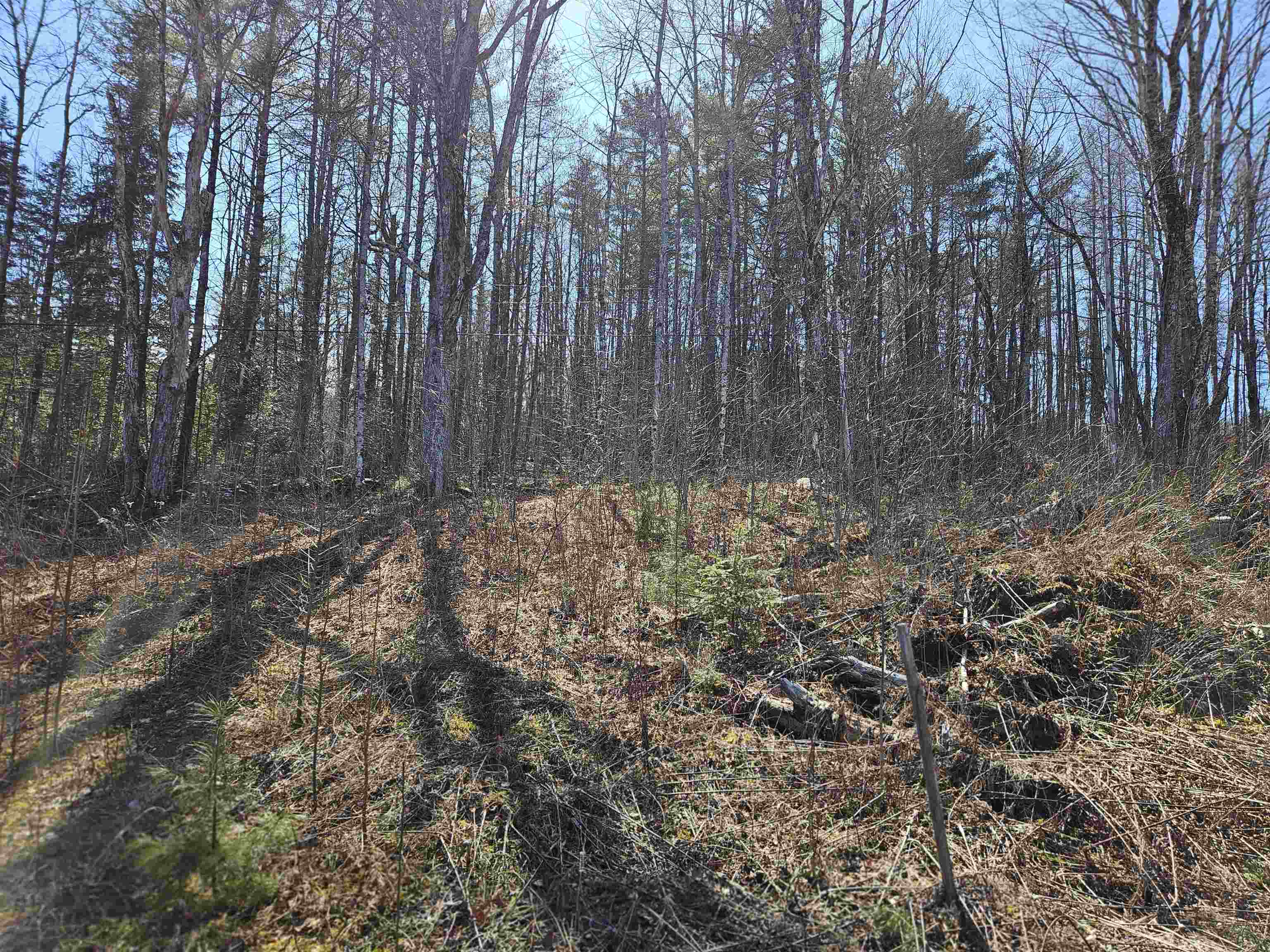 324 Crane Hill Road Property Photo 31