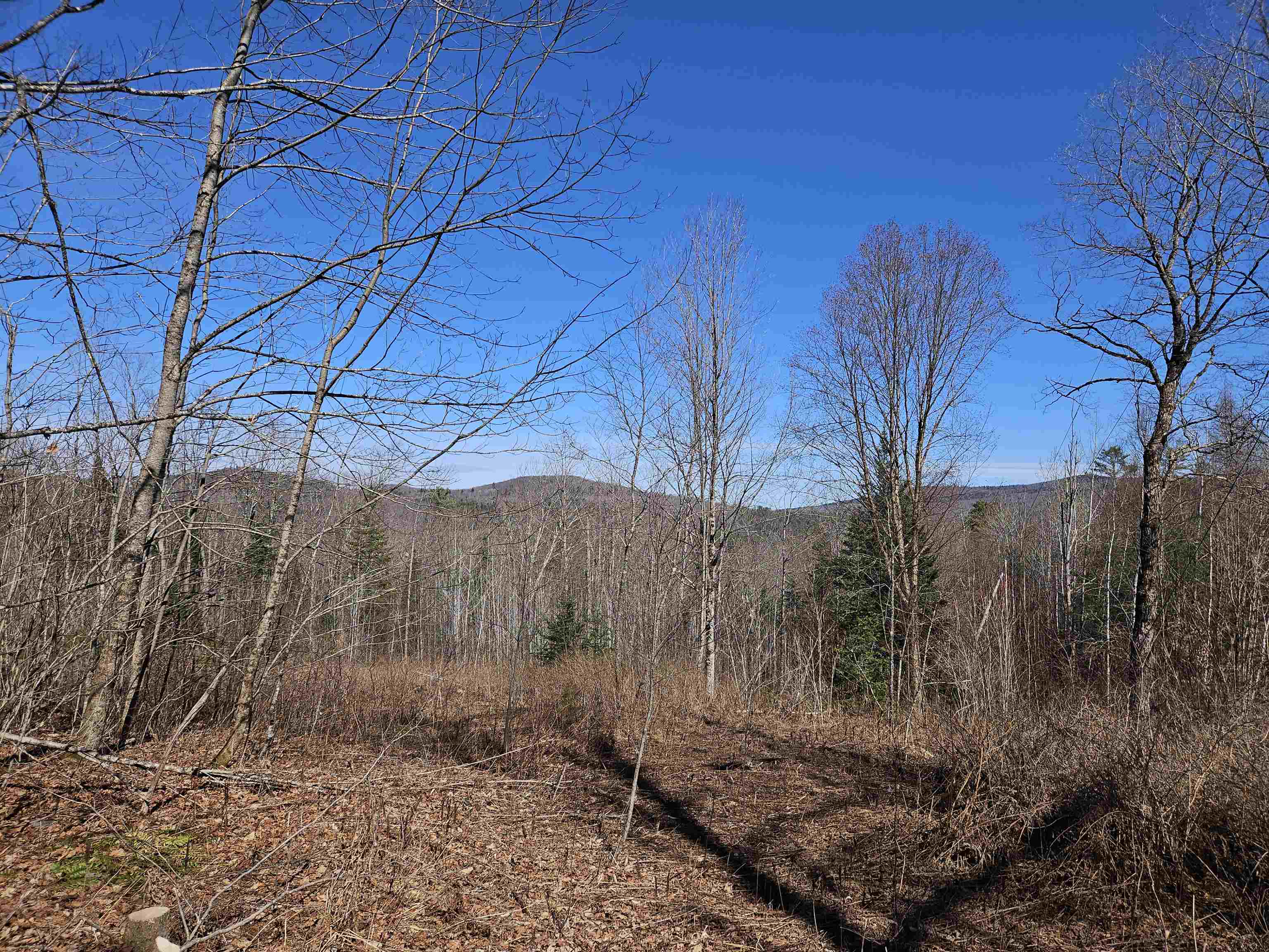 324 Crane Hill Road Property Photo 33