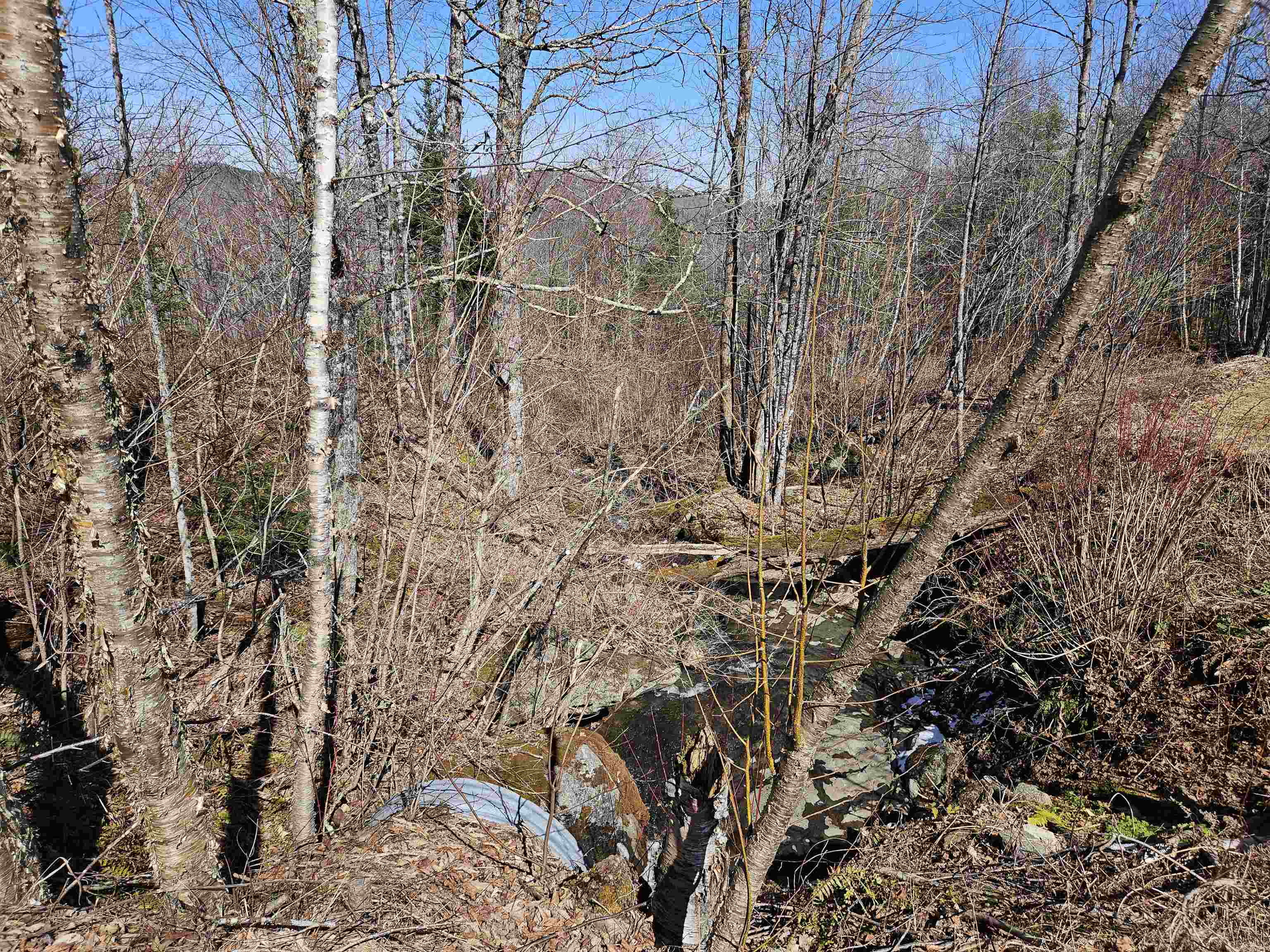 324 Crane Hill Road Property Photo 35
