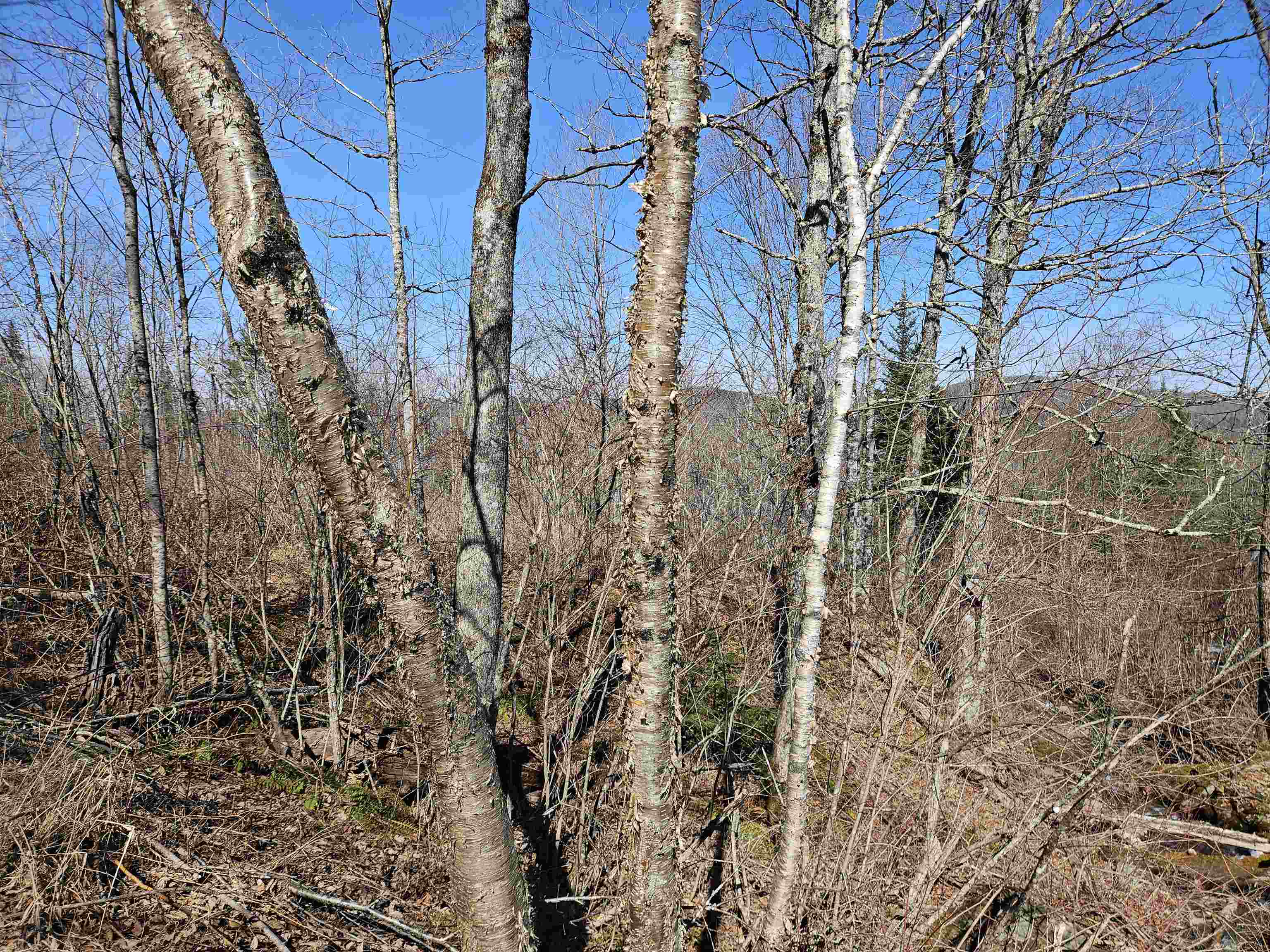 324 Crane Hill Road Property Photo 36