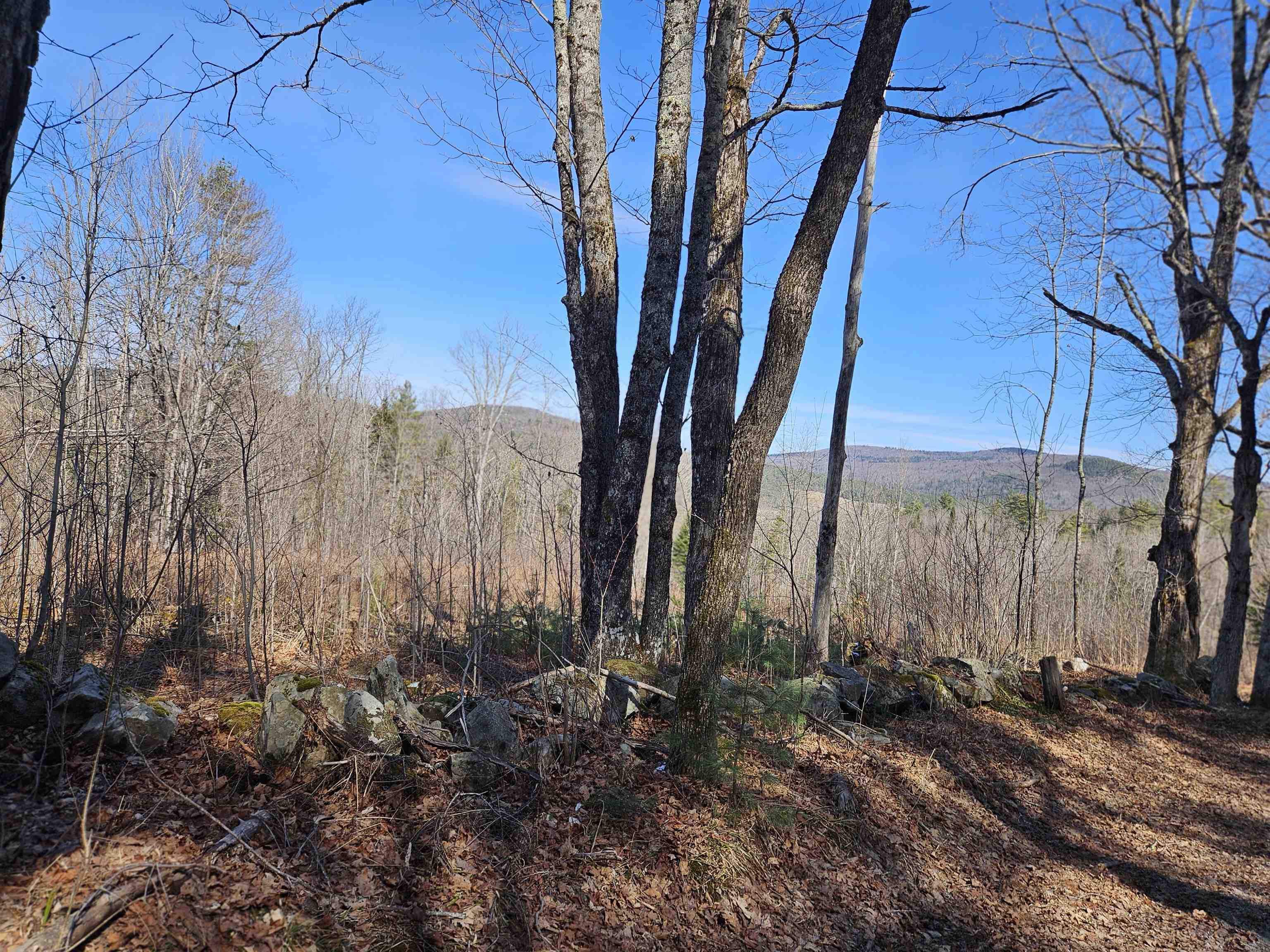 324 Crane Hill Road Property Photo 44