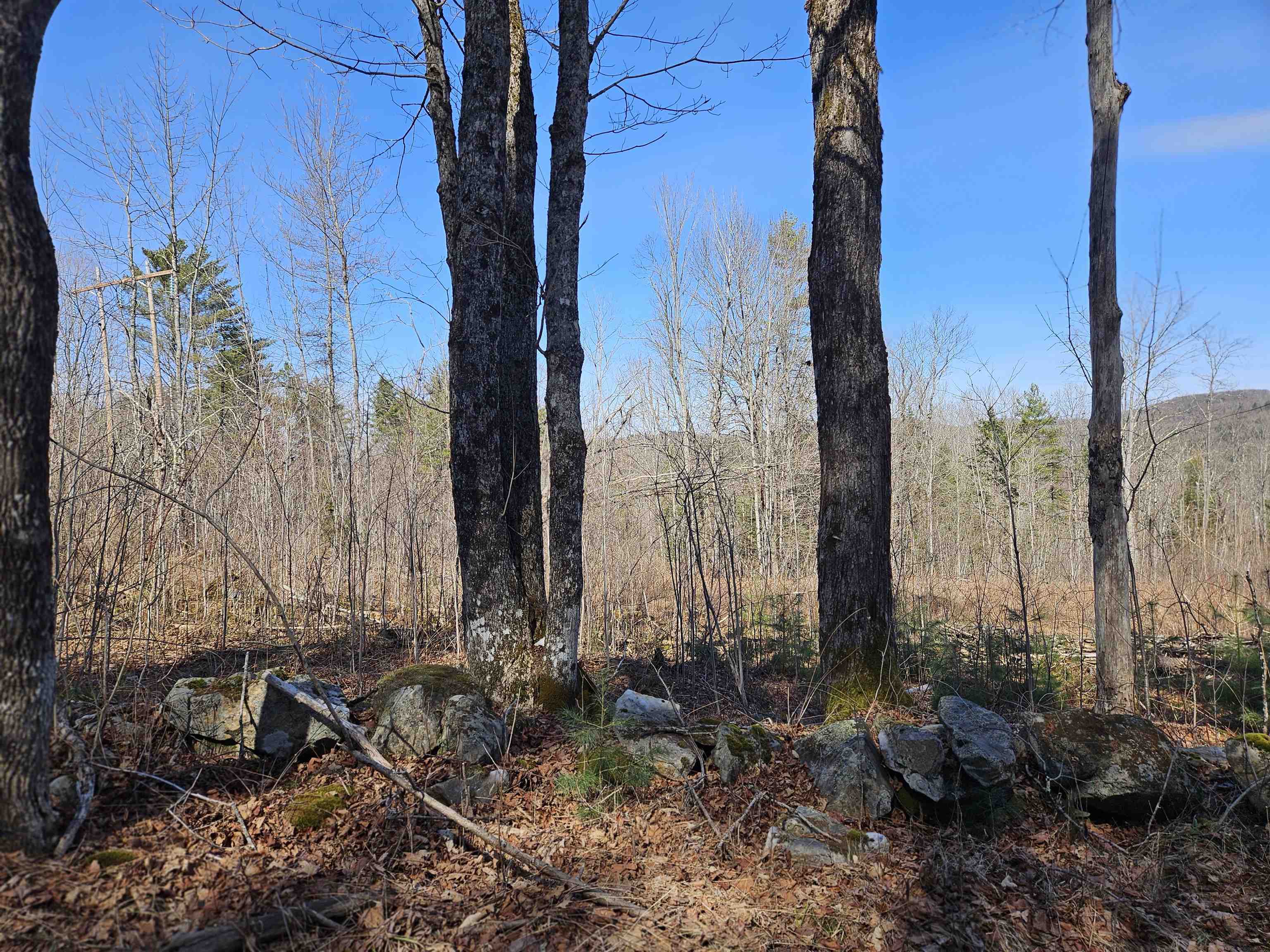 324 Crane Hill Road Property Photo 46