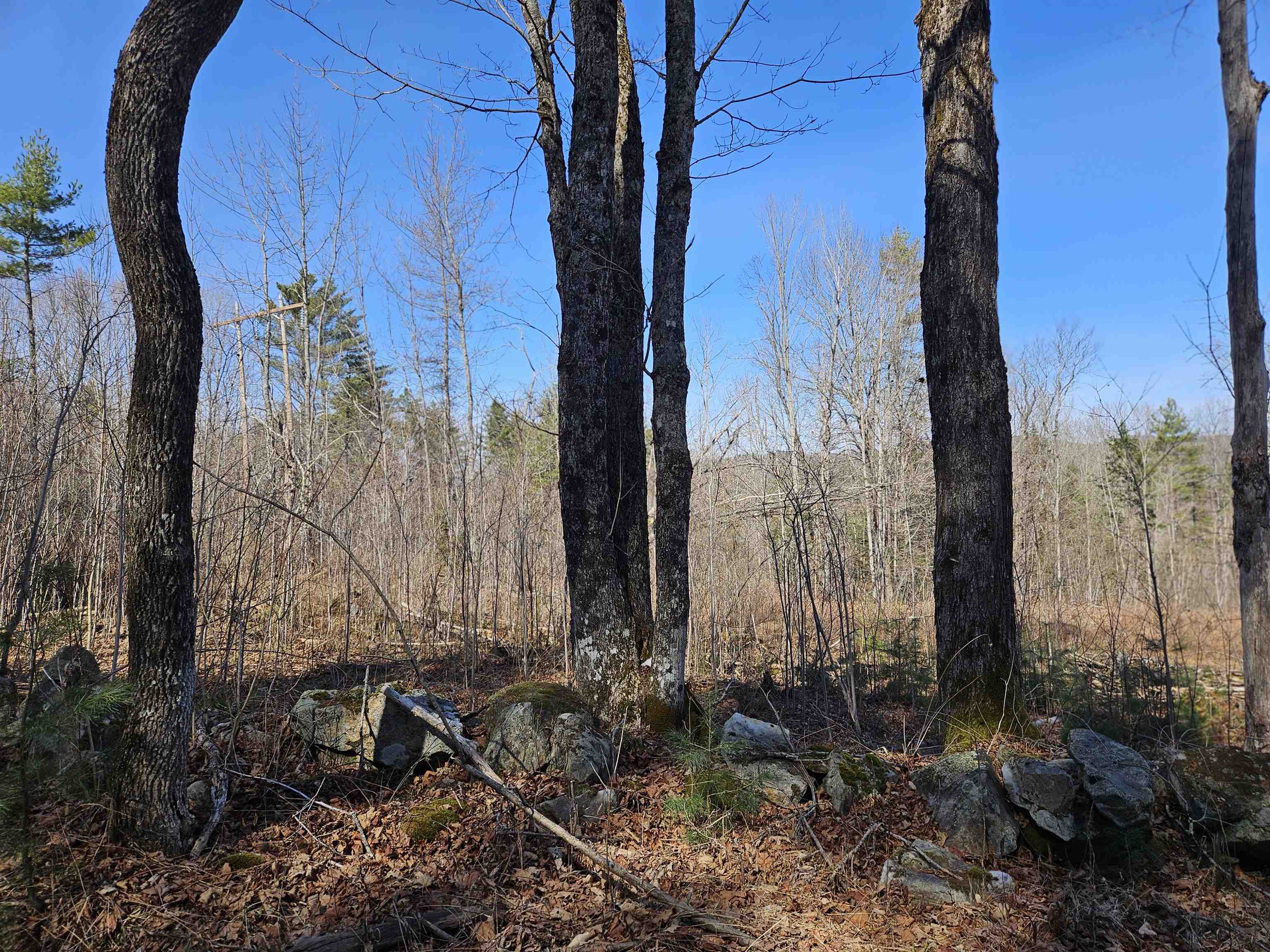 324 Crane Hill Road Property Photo 47