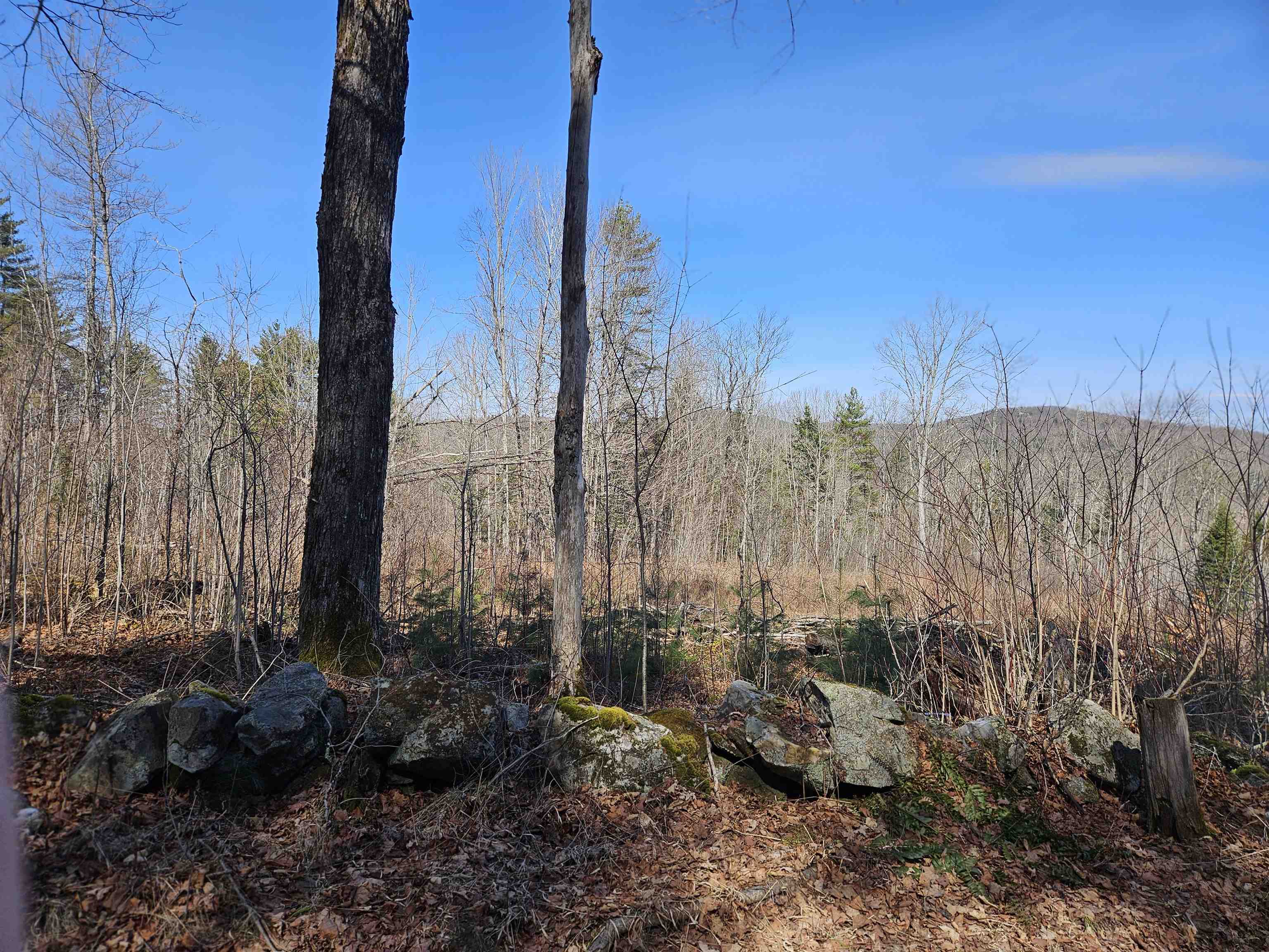 324 Crane Hill Road Property Photo 48
