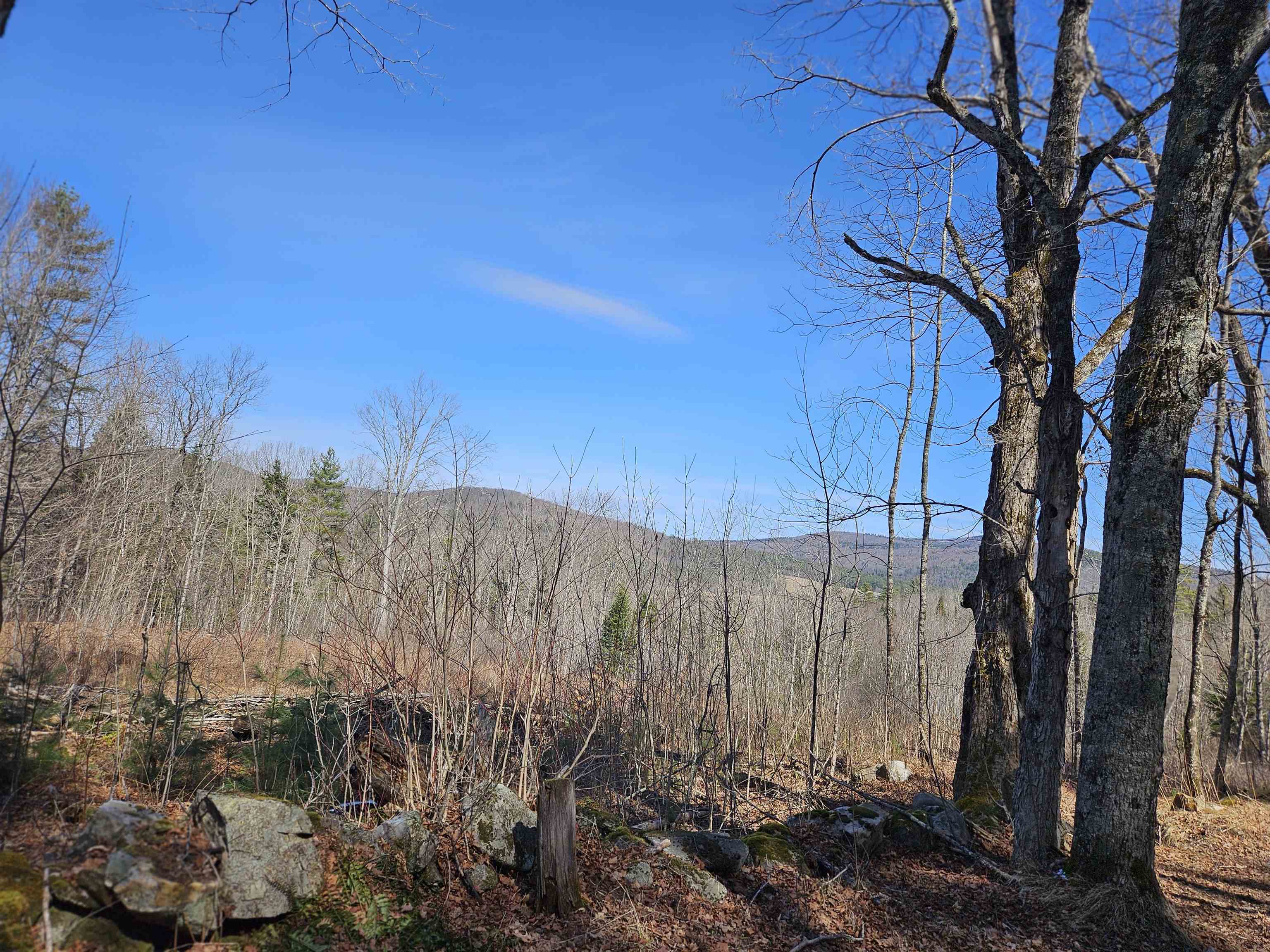 324 Crane Hill Road Property Photo 49