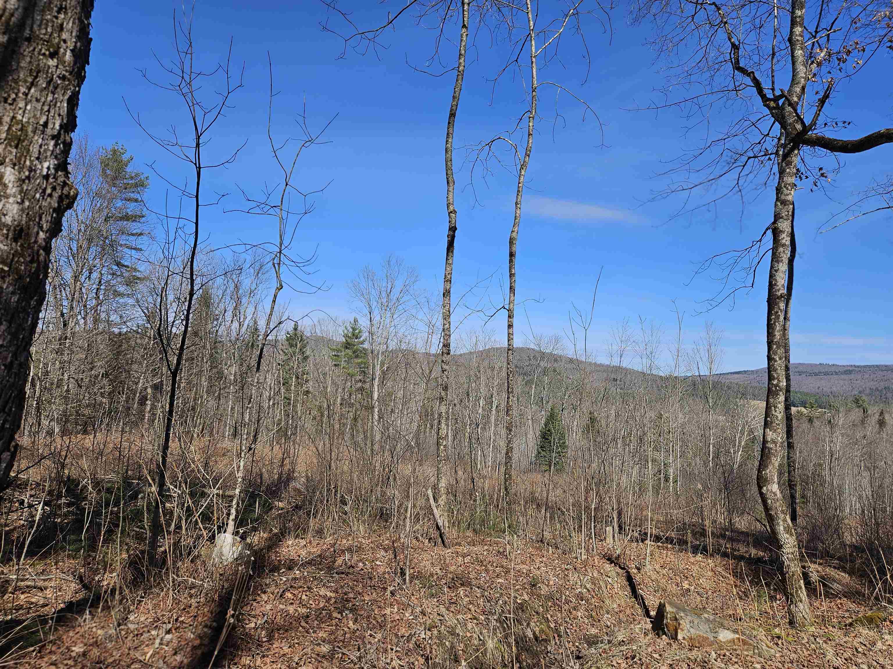 324 Crane Hill Road Property Photo 52