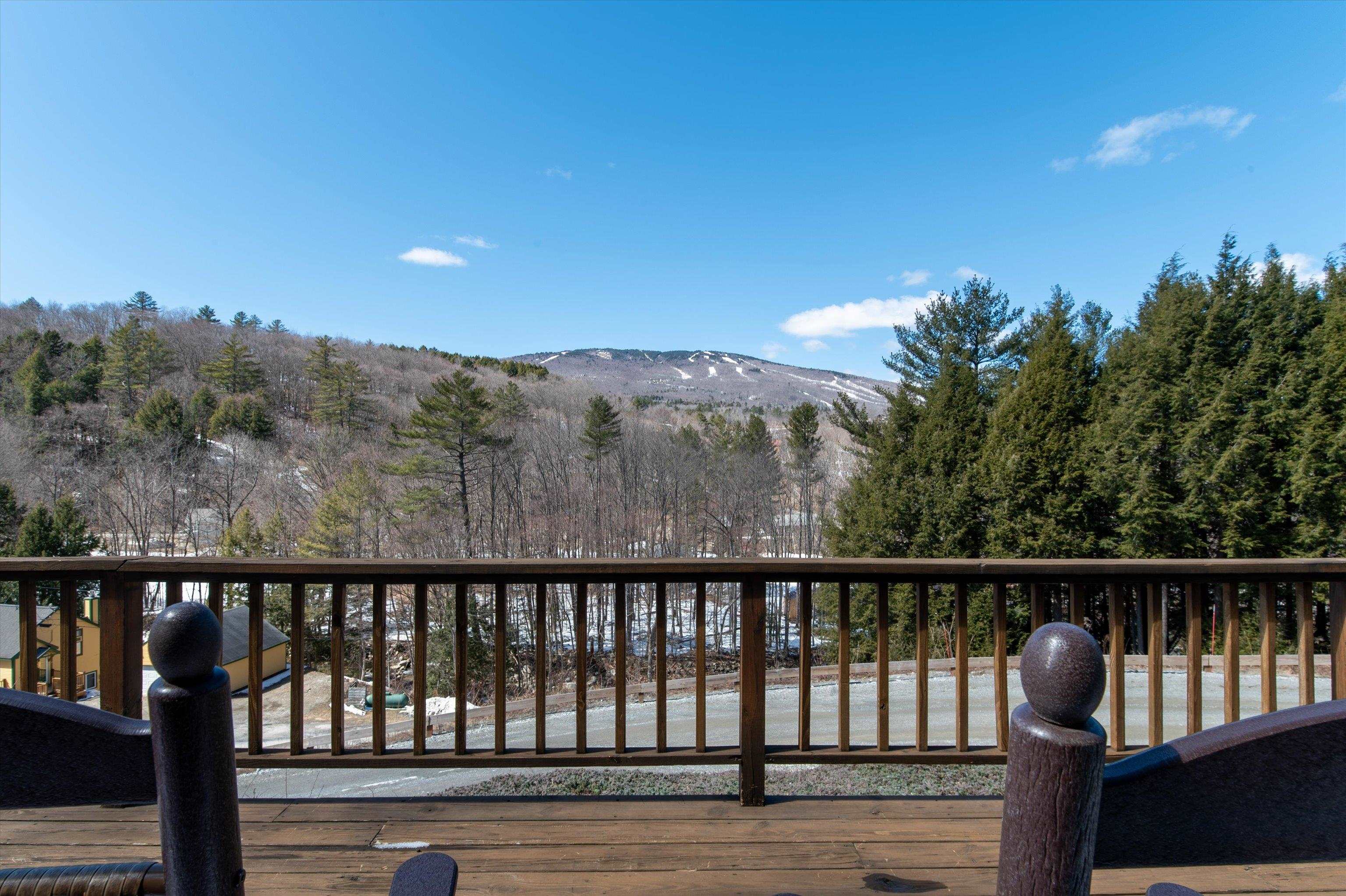 28 Plumley Ridge Property Photo 42
