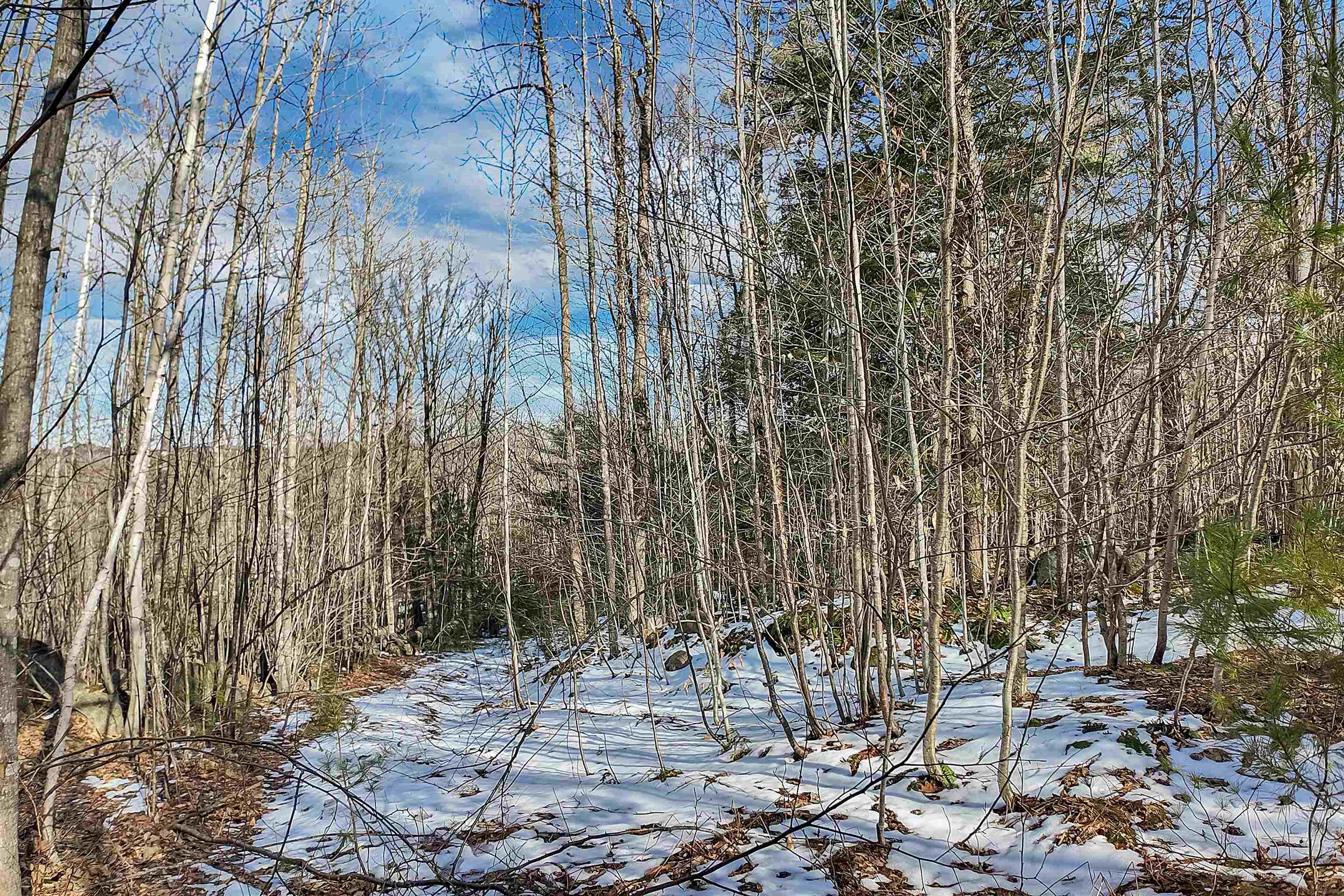 00 Chemung Road Property Photo 11