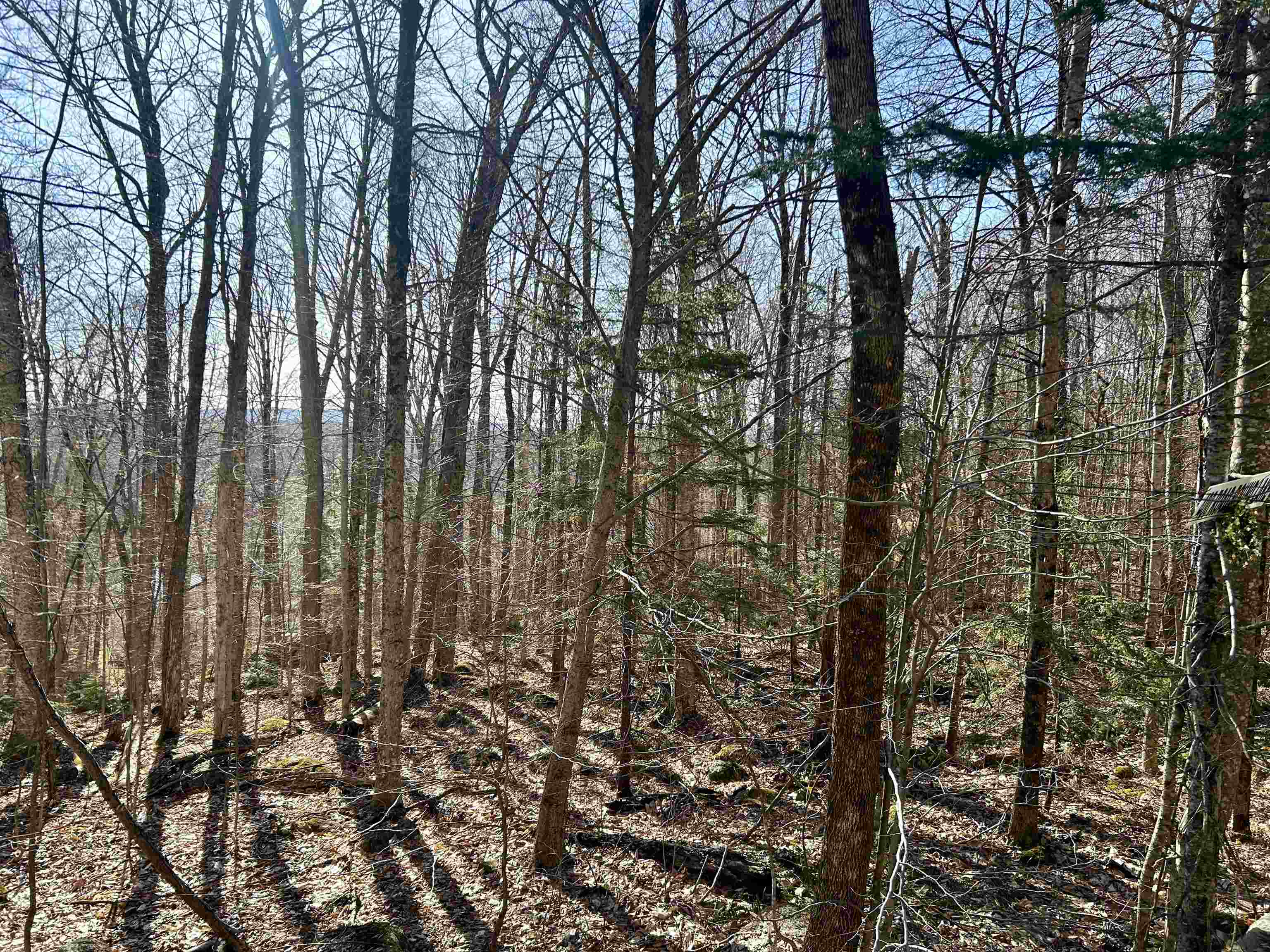 400 Road Round The Lake Property Photo 2