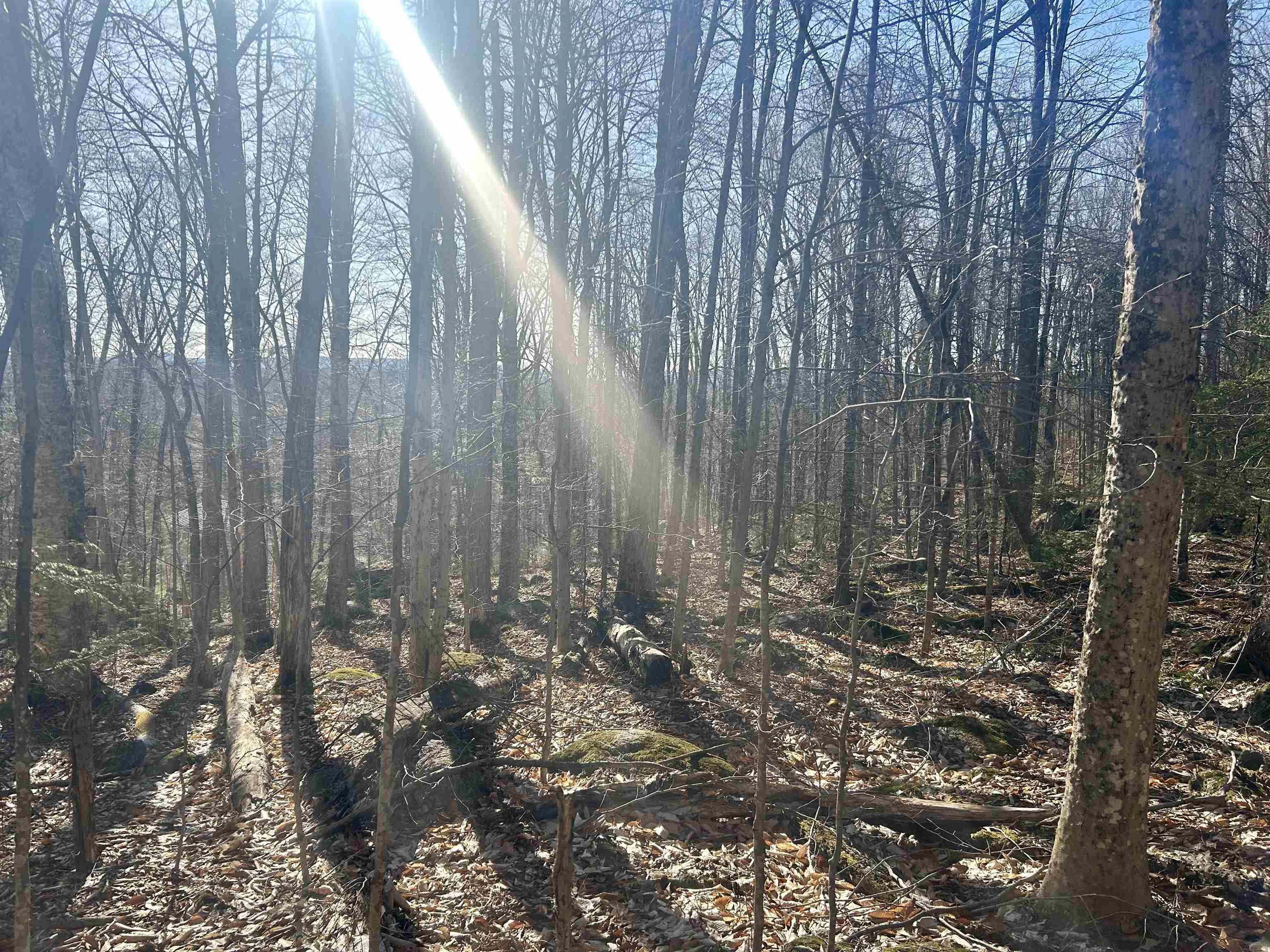 400 Road Round The Lake Property Photo 3