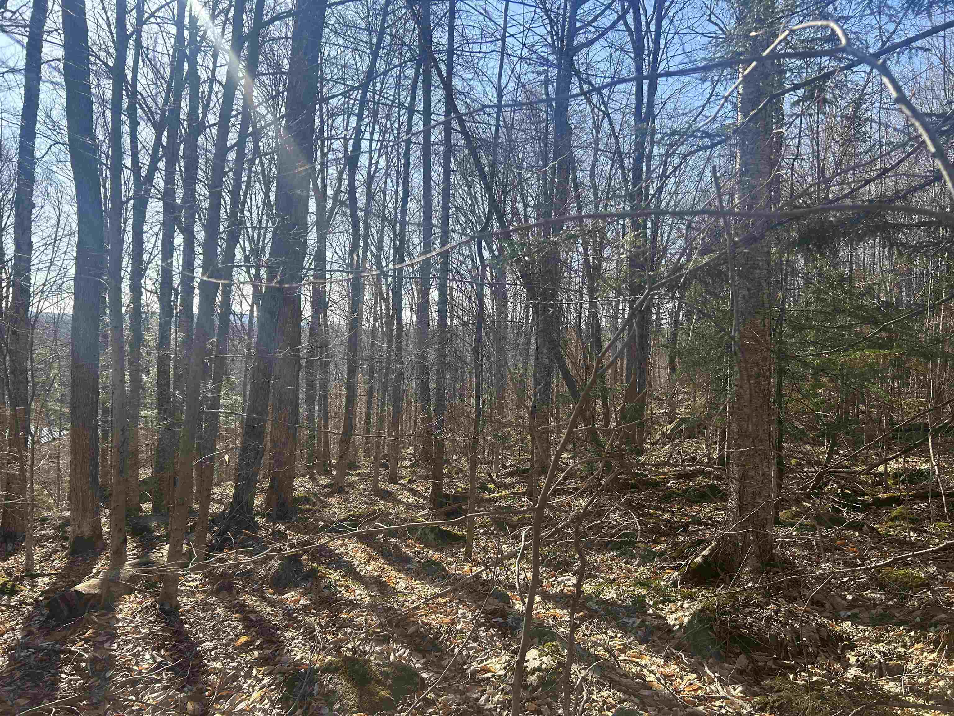 400 Road Round The Lake Property Photo 4
