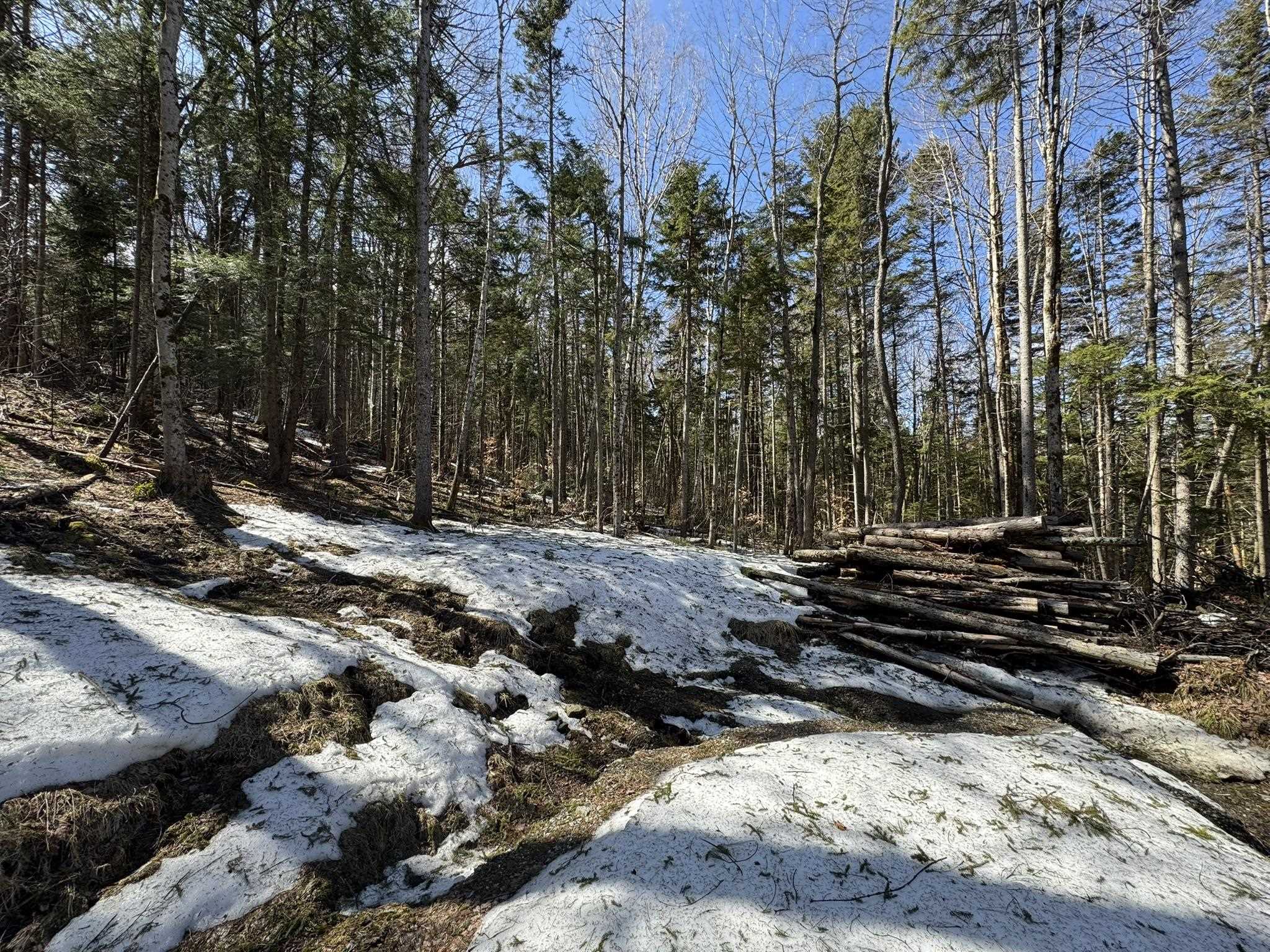 Lot 4 Ghastly Job Way Property Photo