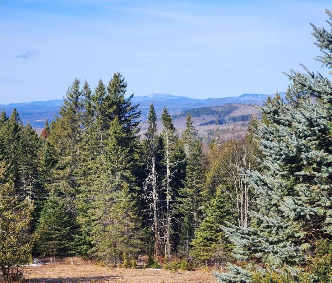 5118 Mack Mountain Road Property Photo 6