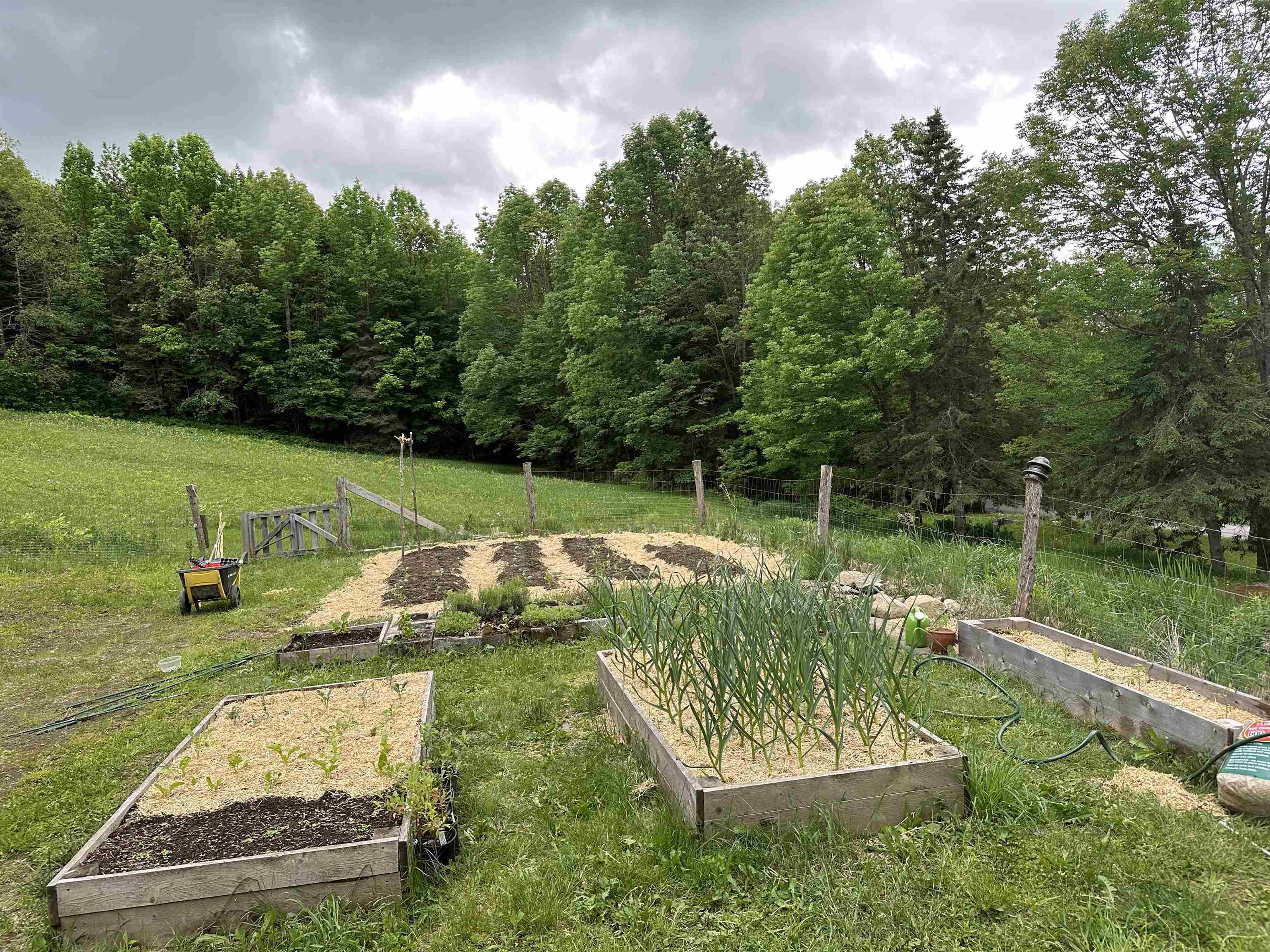 5118 Mack Mountain Road Property Photo 20