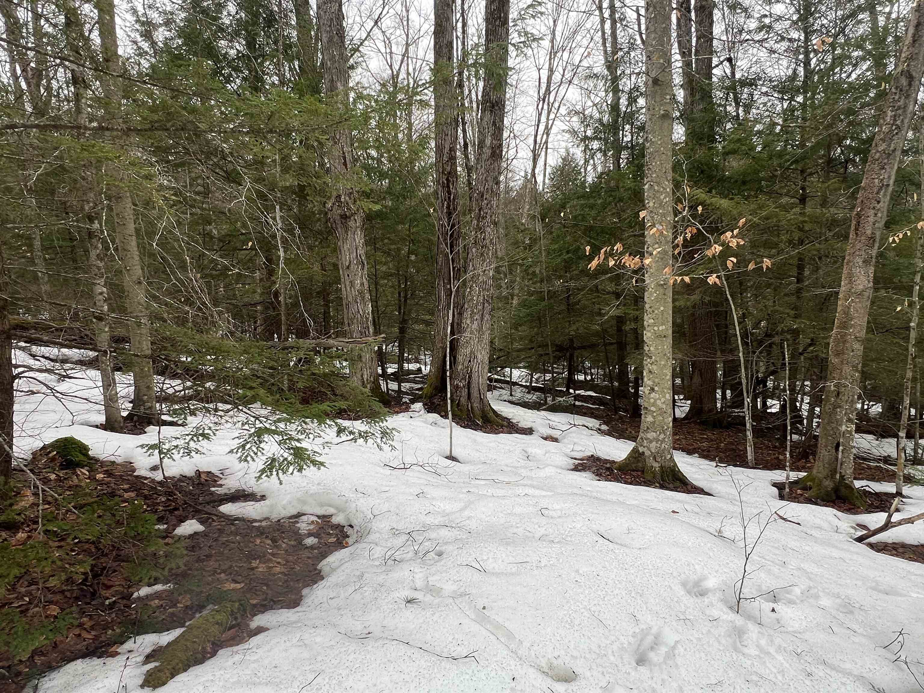 355 Bemis Hill Road Property Photo 2