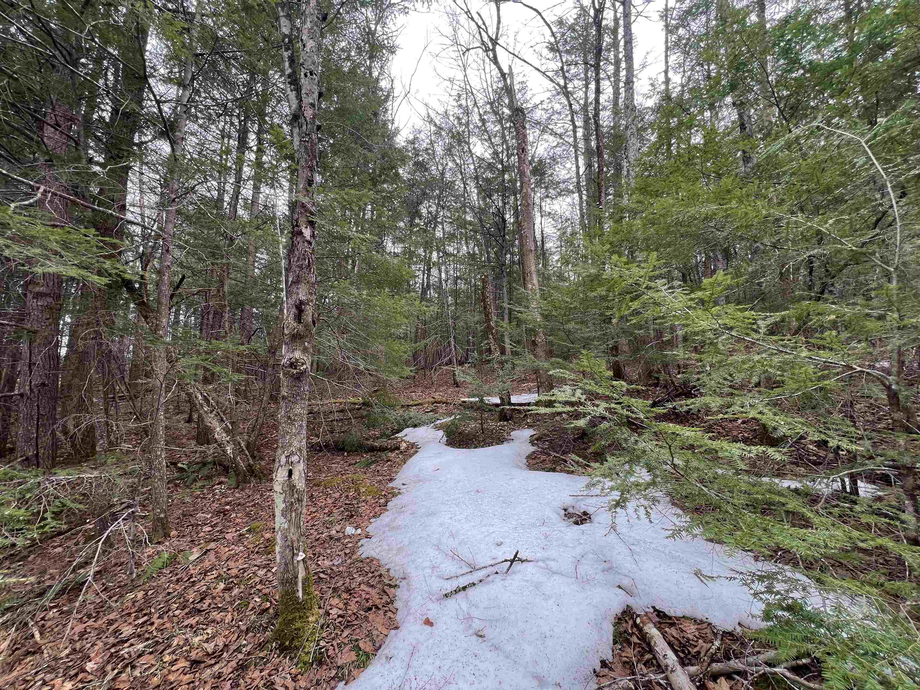 355 Bemis Hill Road Property Photo 3