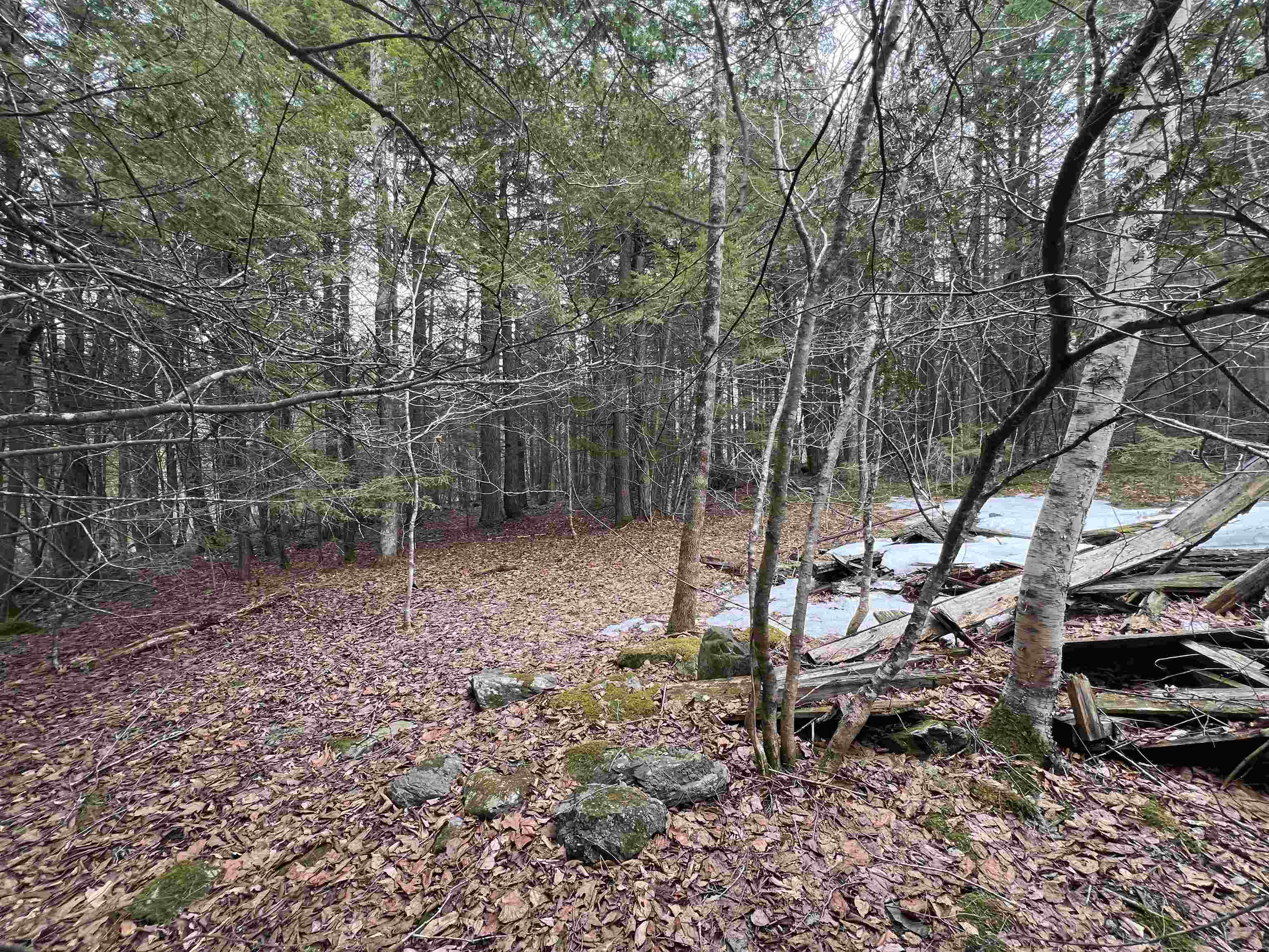 355 Bemis Hill Road Property Photo 4