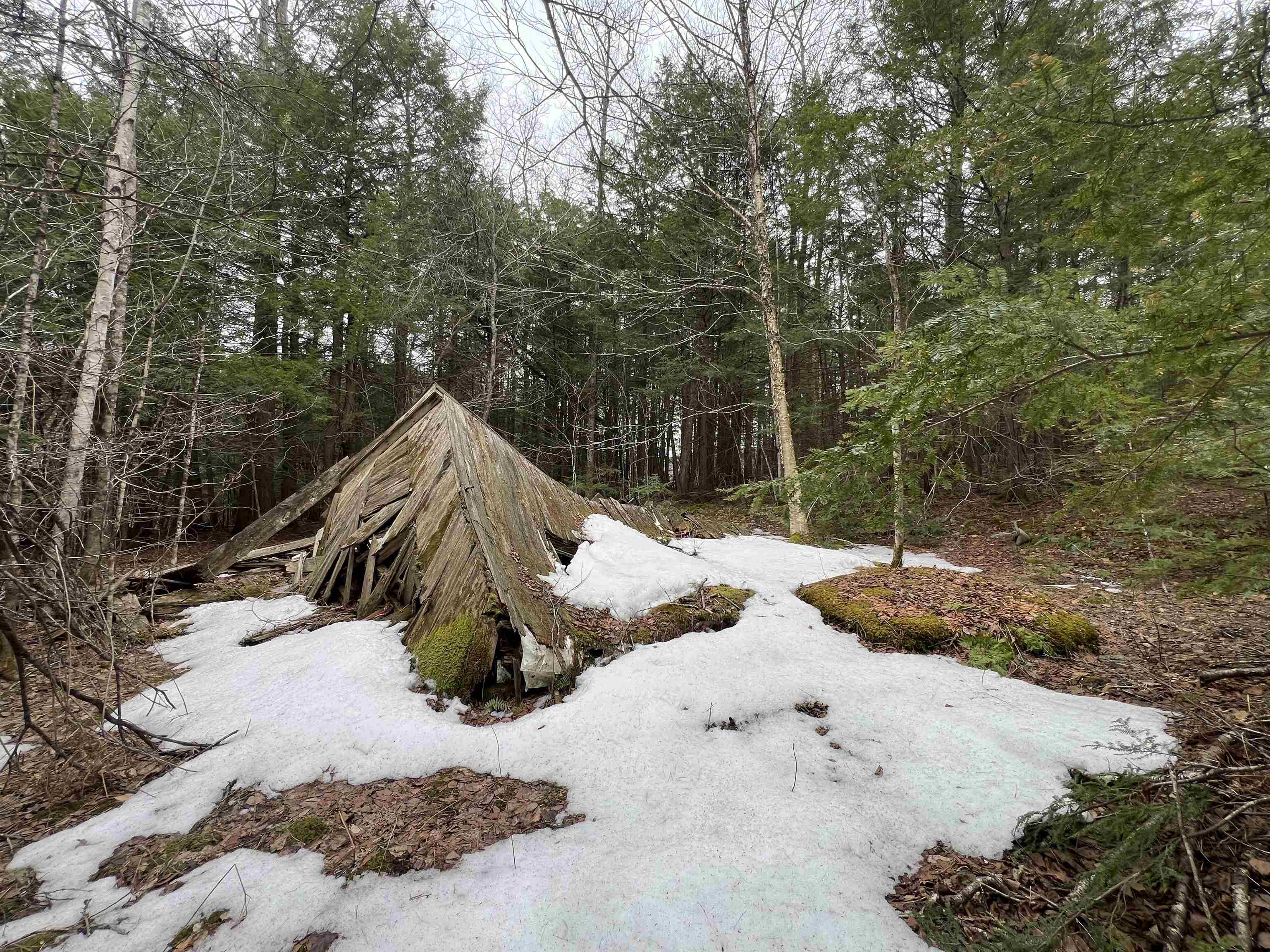 355 Bemis Hill Road Property Photo 6