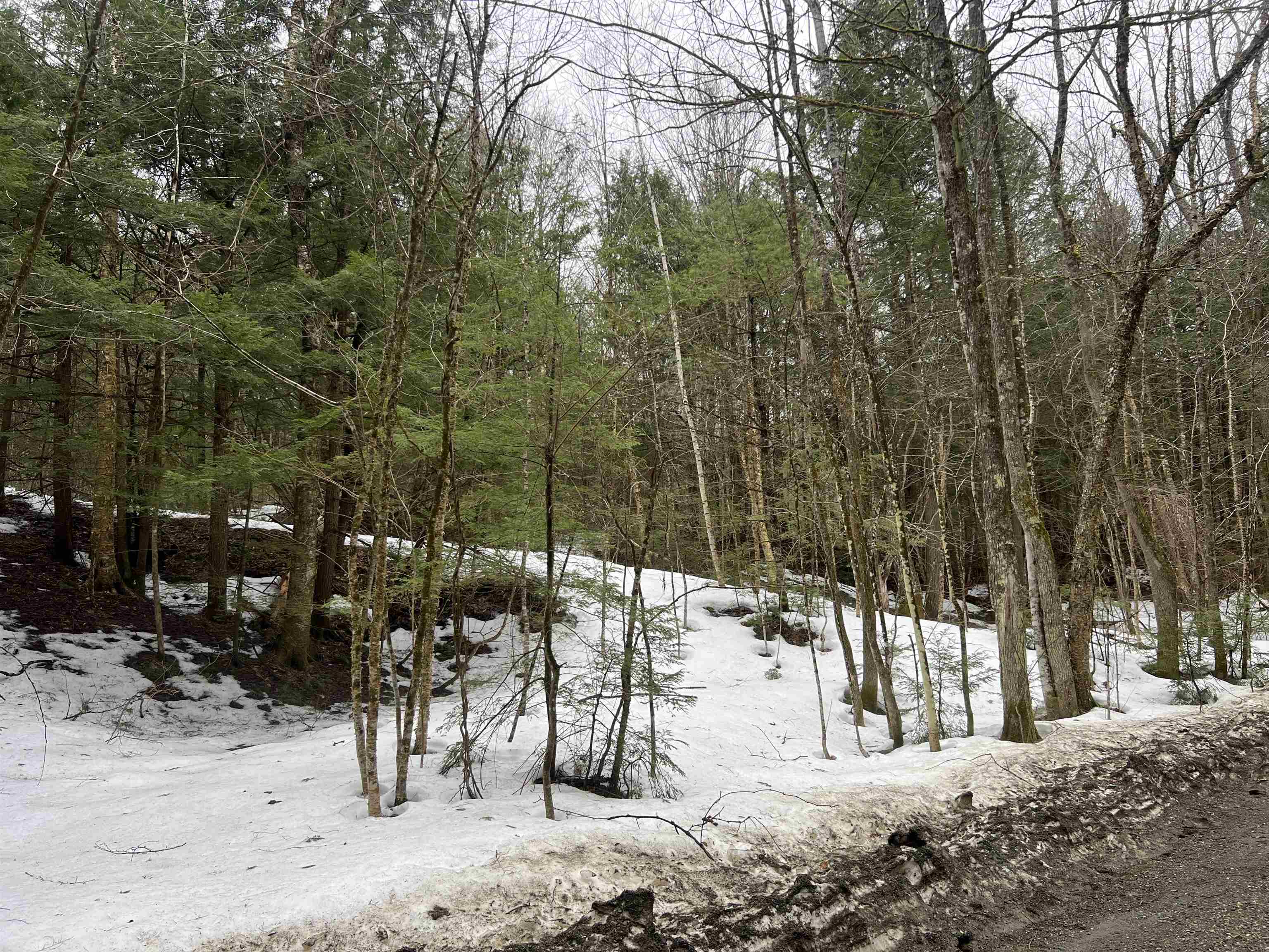 355 Bemis Hill Road Property Photo 10