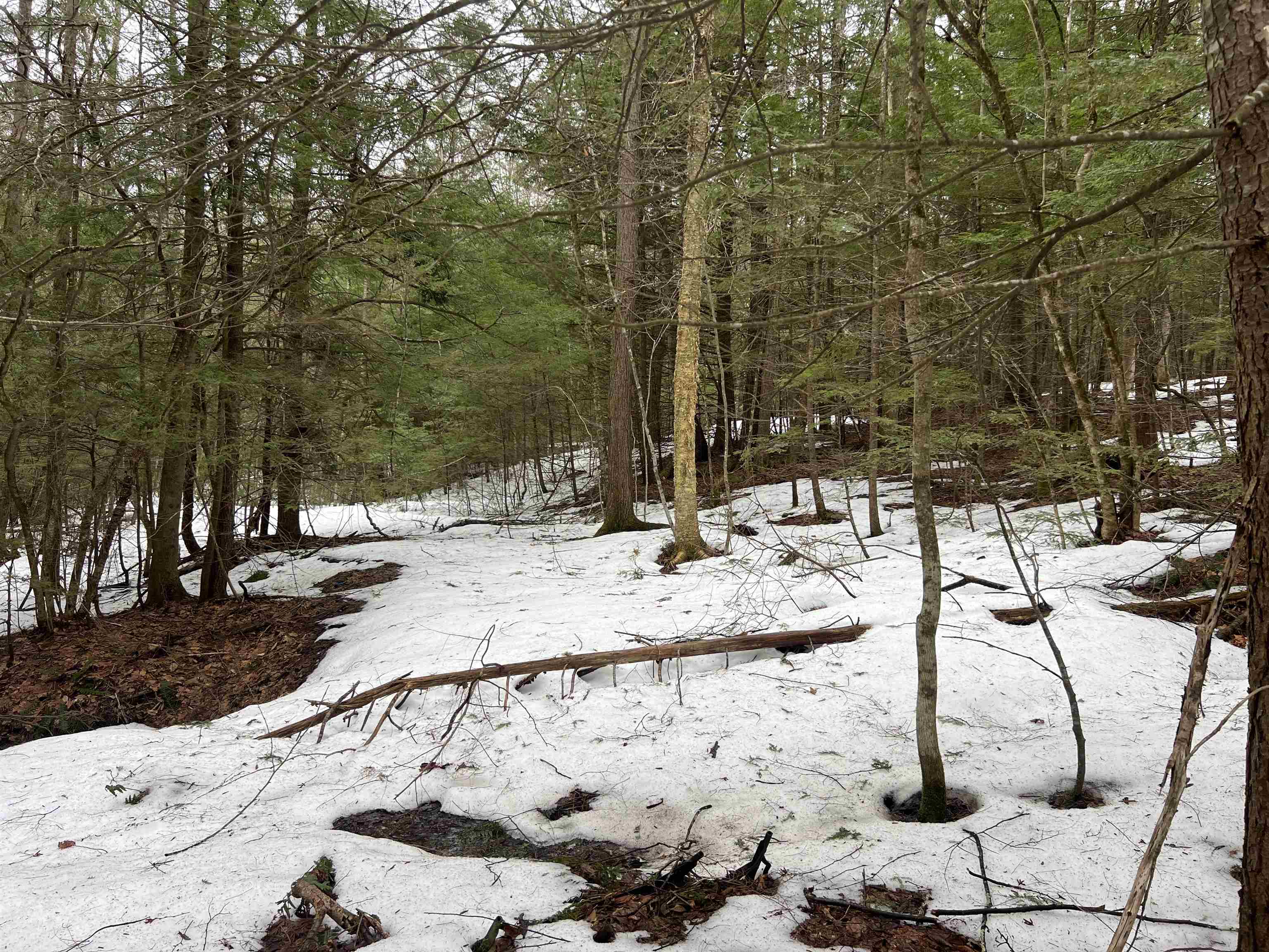 355 Bemis Hill Road Property Photo 12