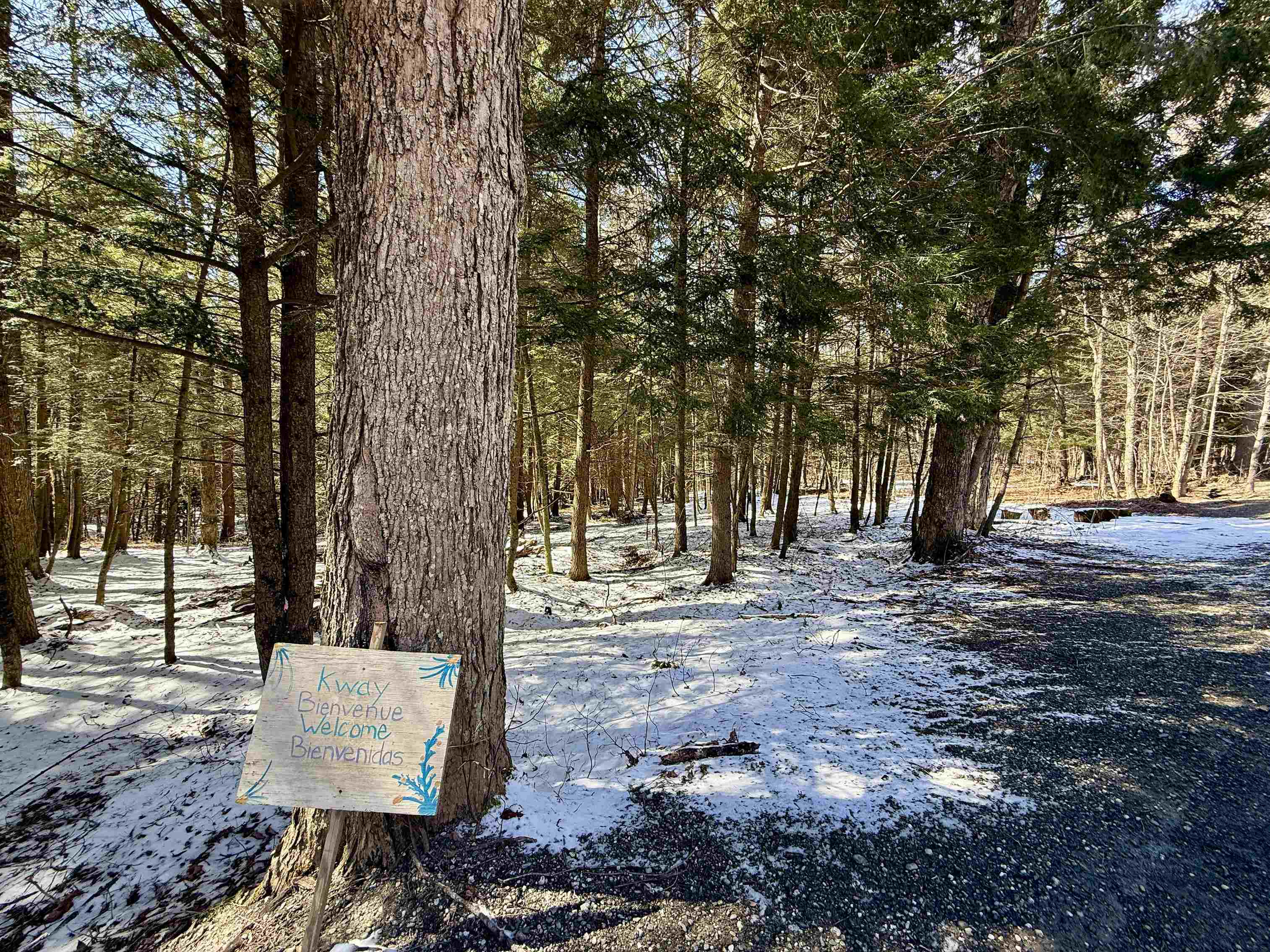 Tbd Plot Road Property Photo