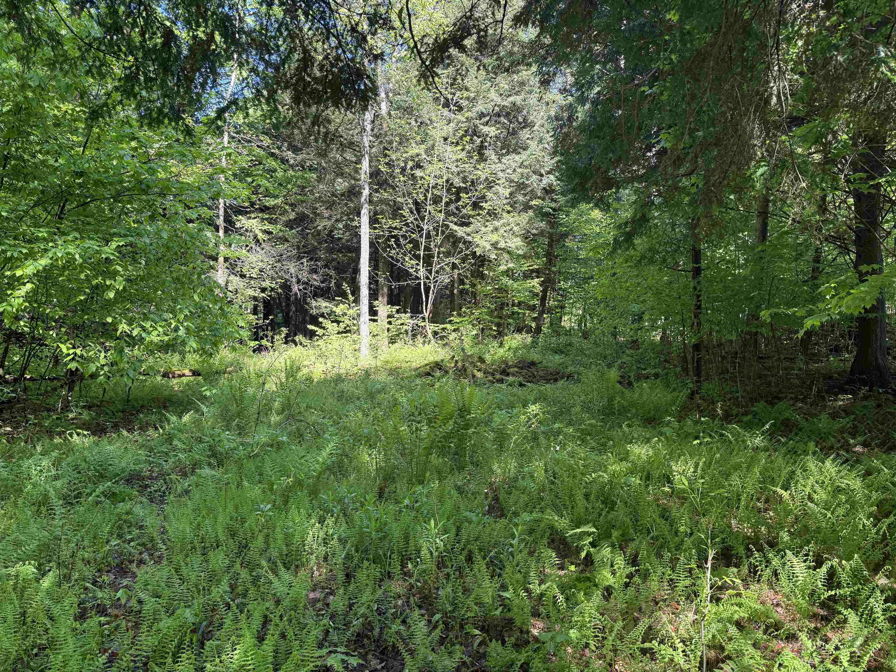Tbd Plot Road Property Photo 2