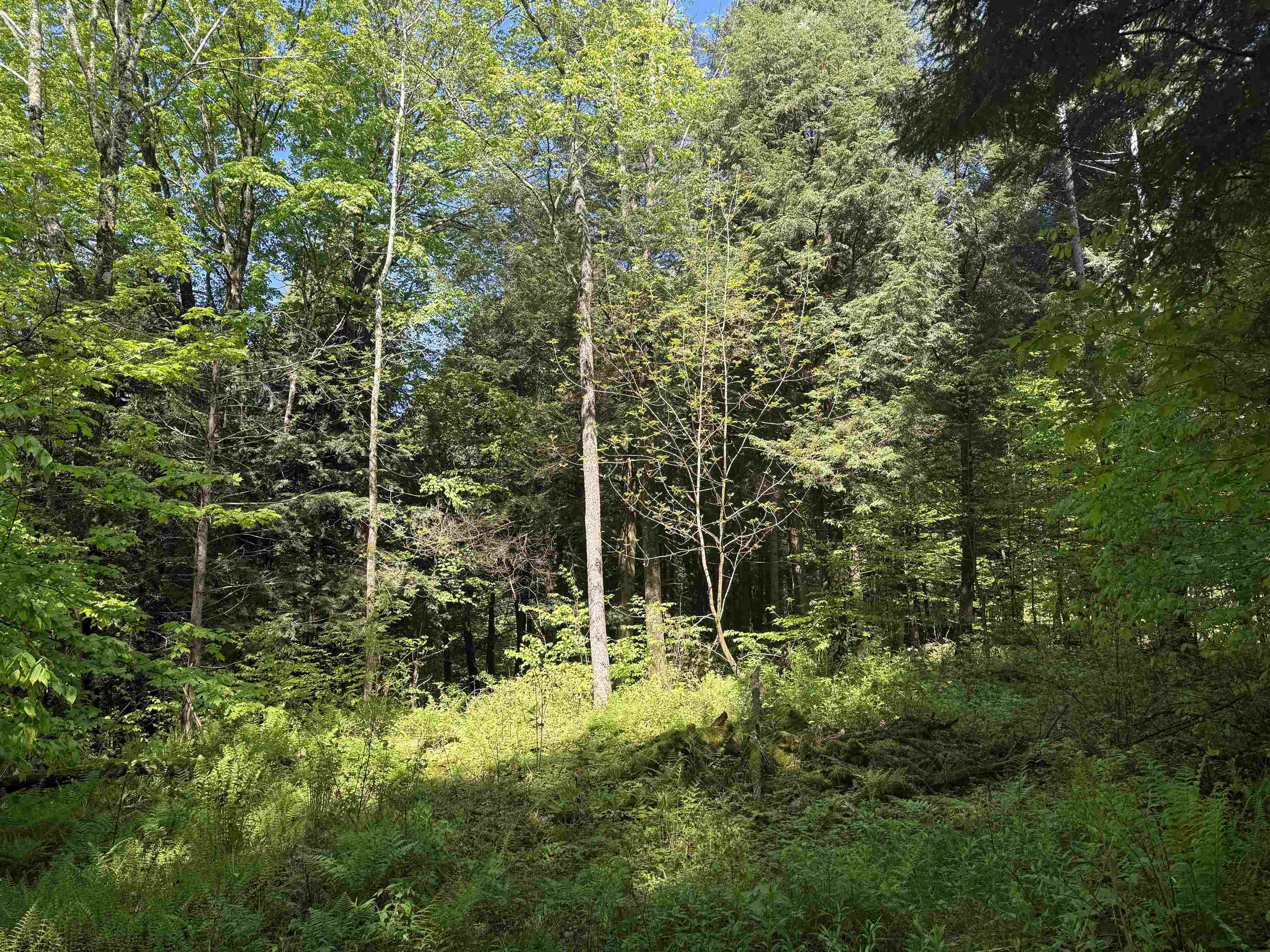 Tbd Plot Road Property Photo 4