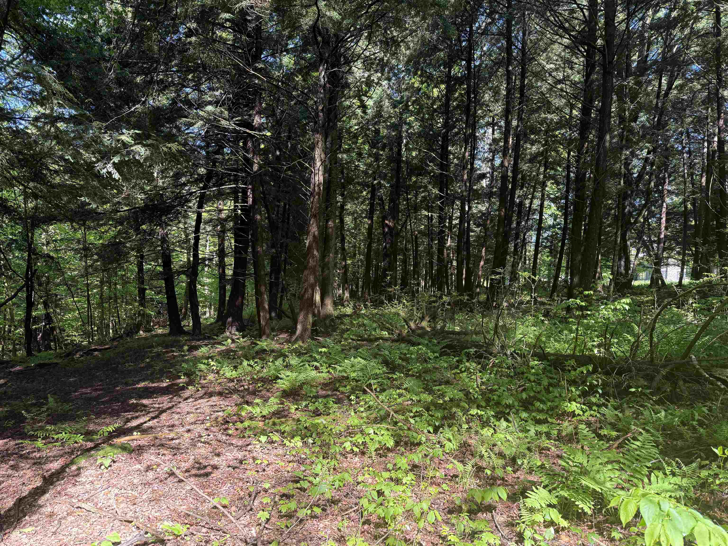 Tbd Plot Road Property Photo 5