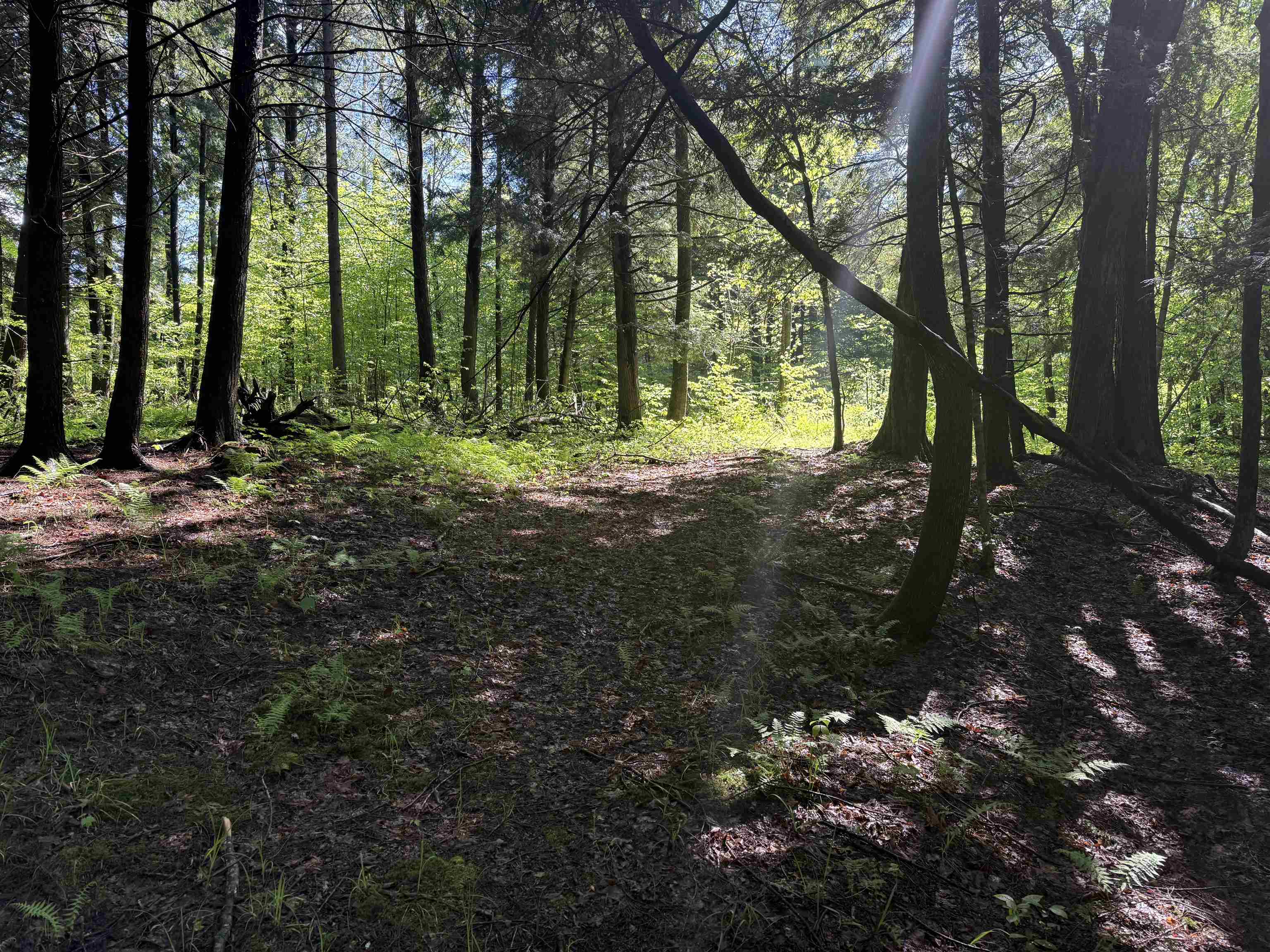 Tbd Plot Road Property Photo 7