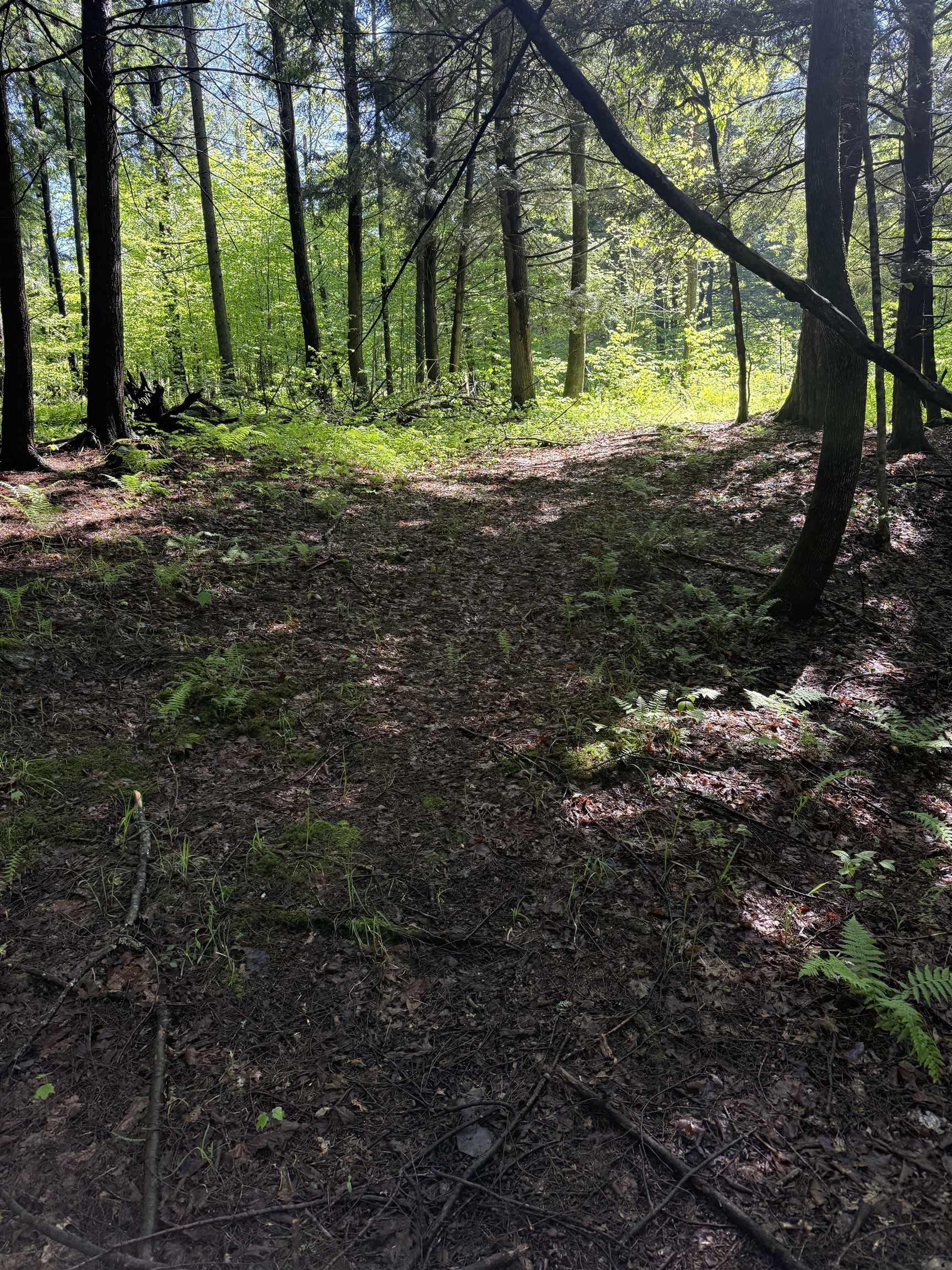 Tbd Plot Road Property Photo 8