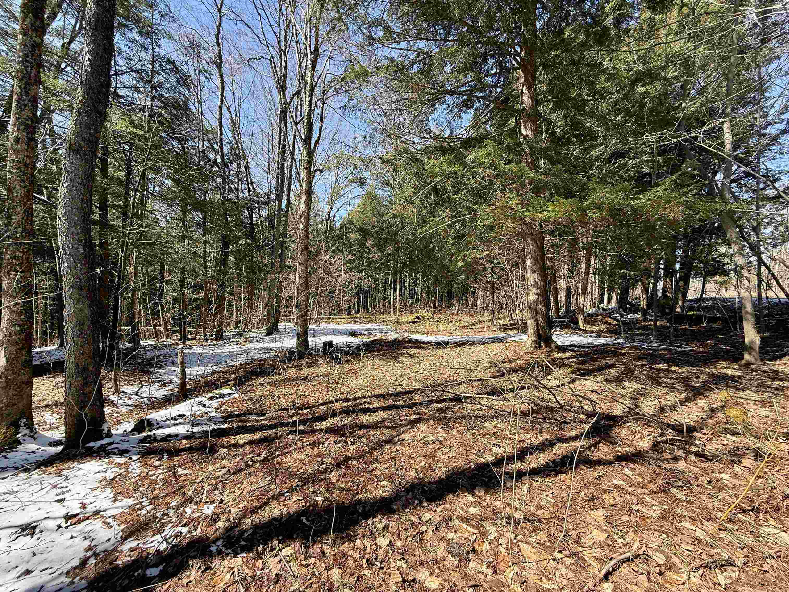 Tbd Plot Road Property Photo 10