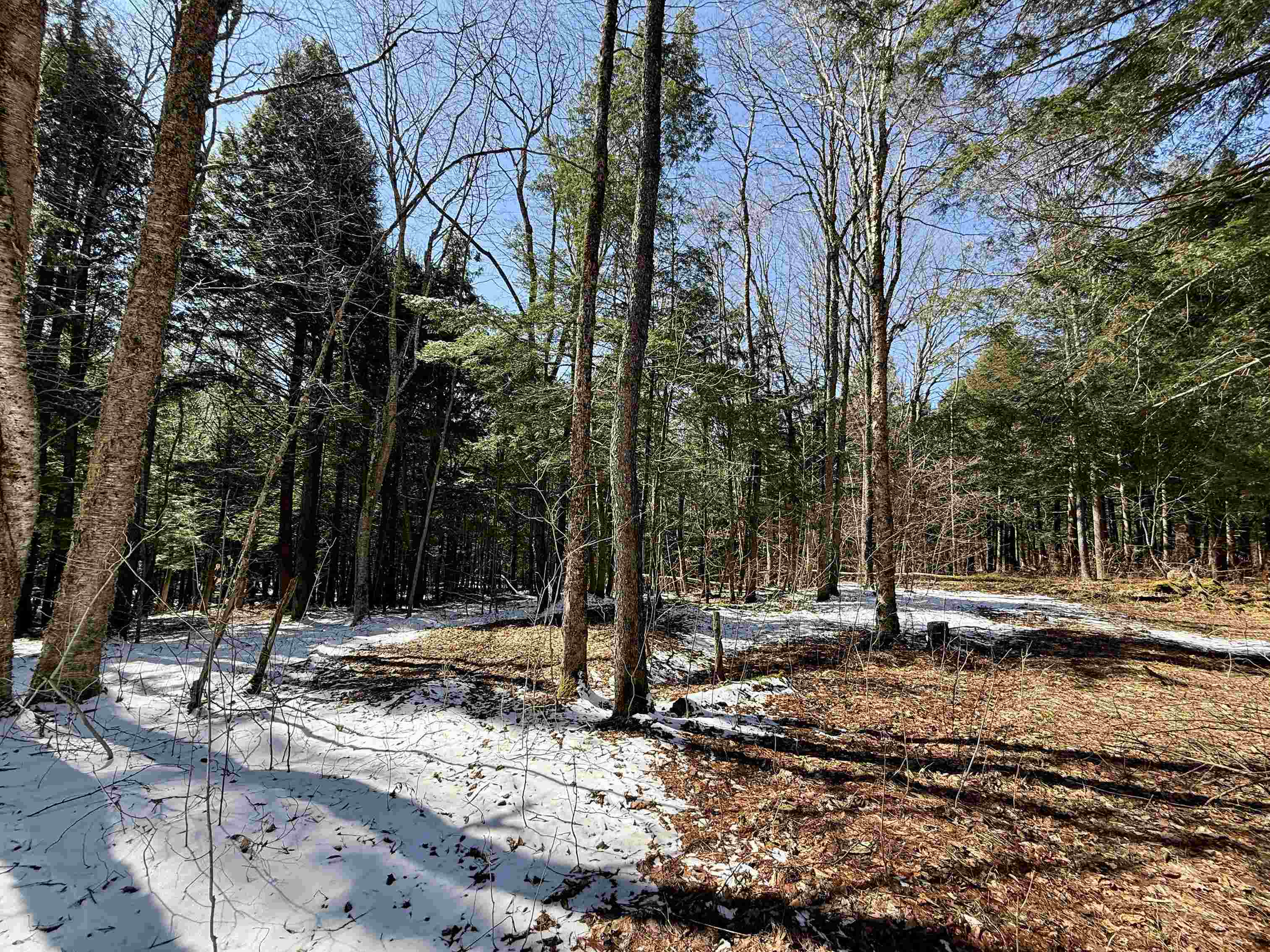 Tbd Plot Road Property Photo 11