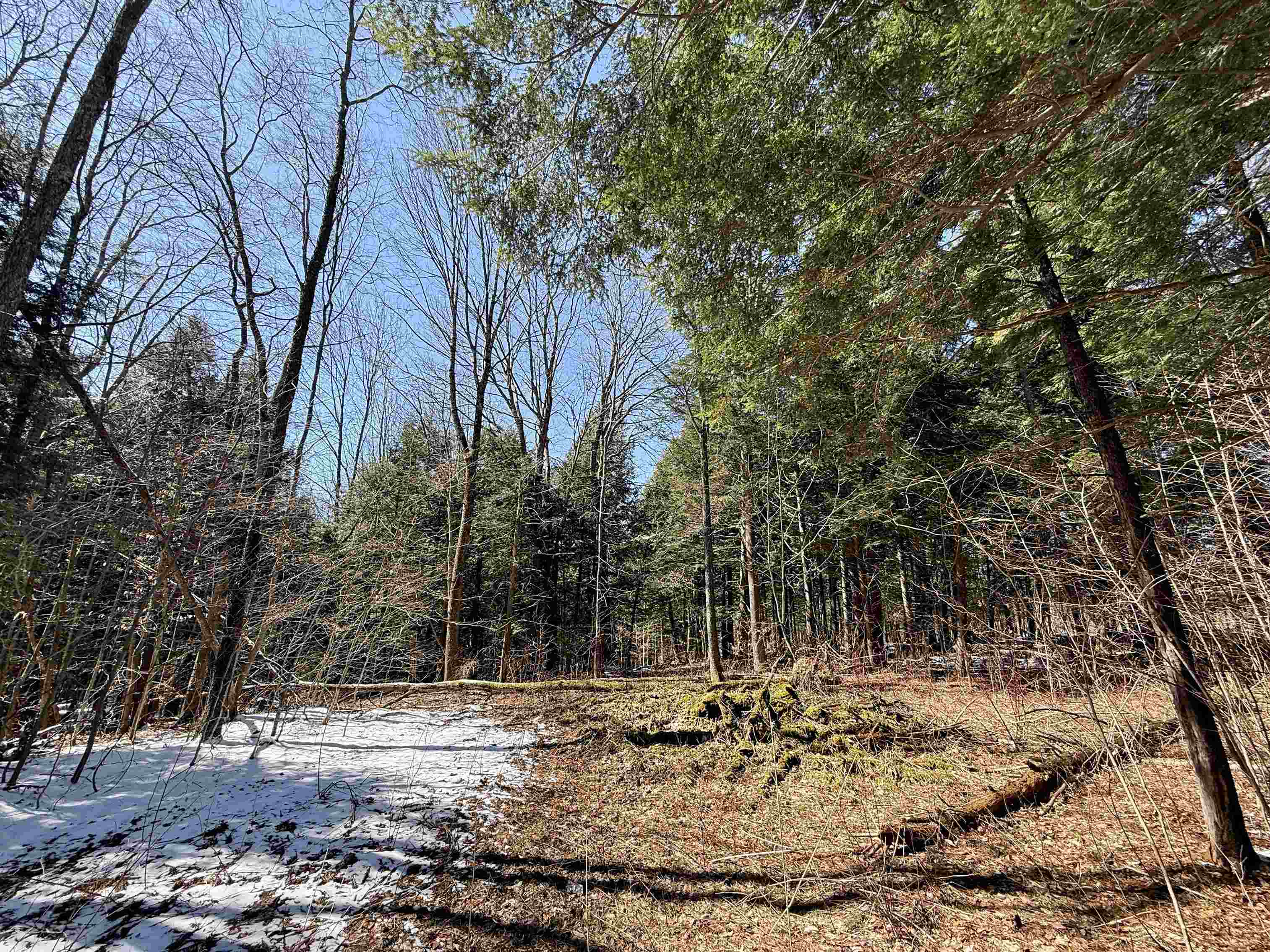 Tbd Plot Road Property Photo 12