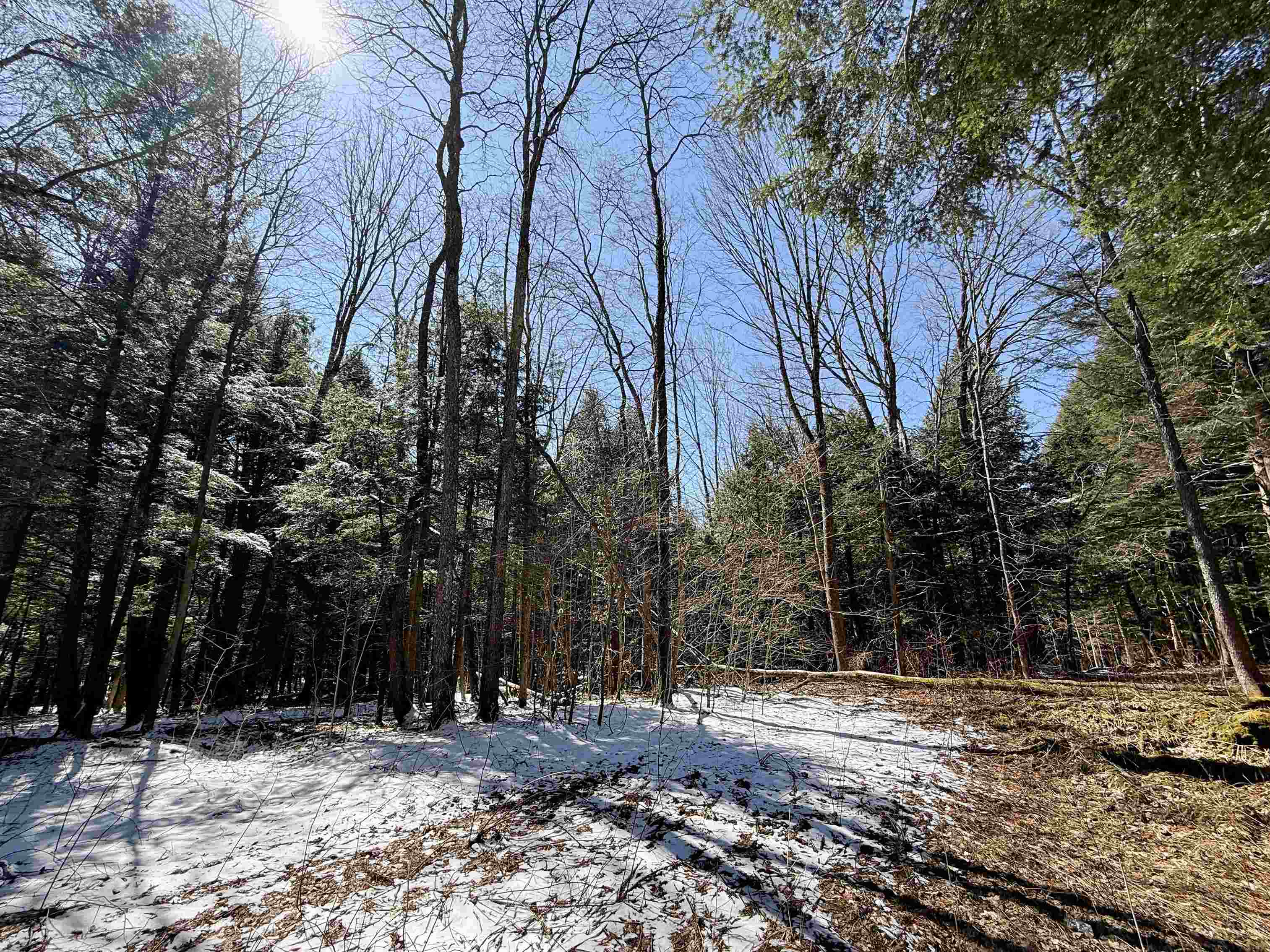Tbd Plot Road Property Photo 13