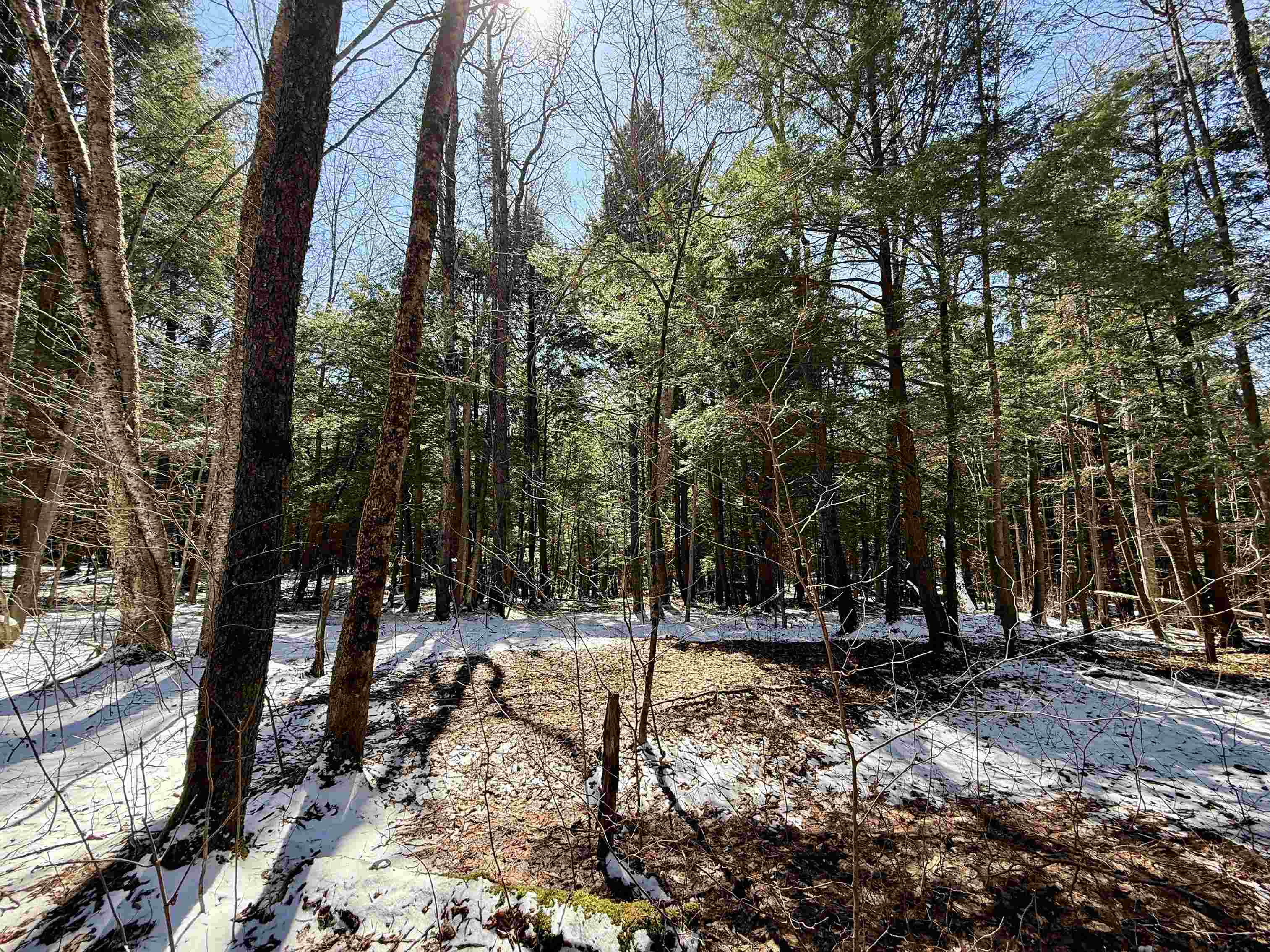 Tbd Plot Road Property Photo 14