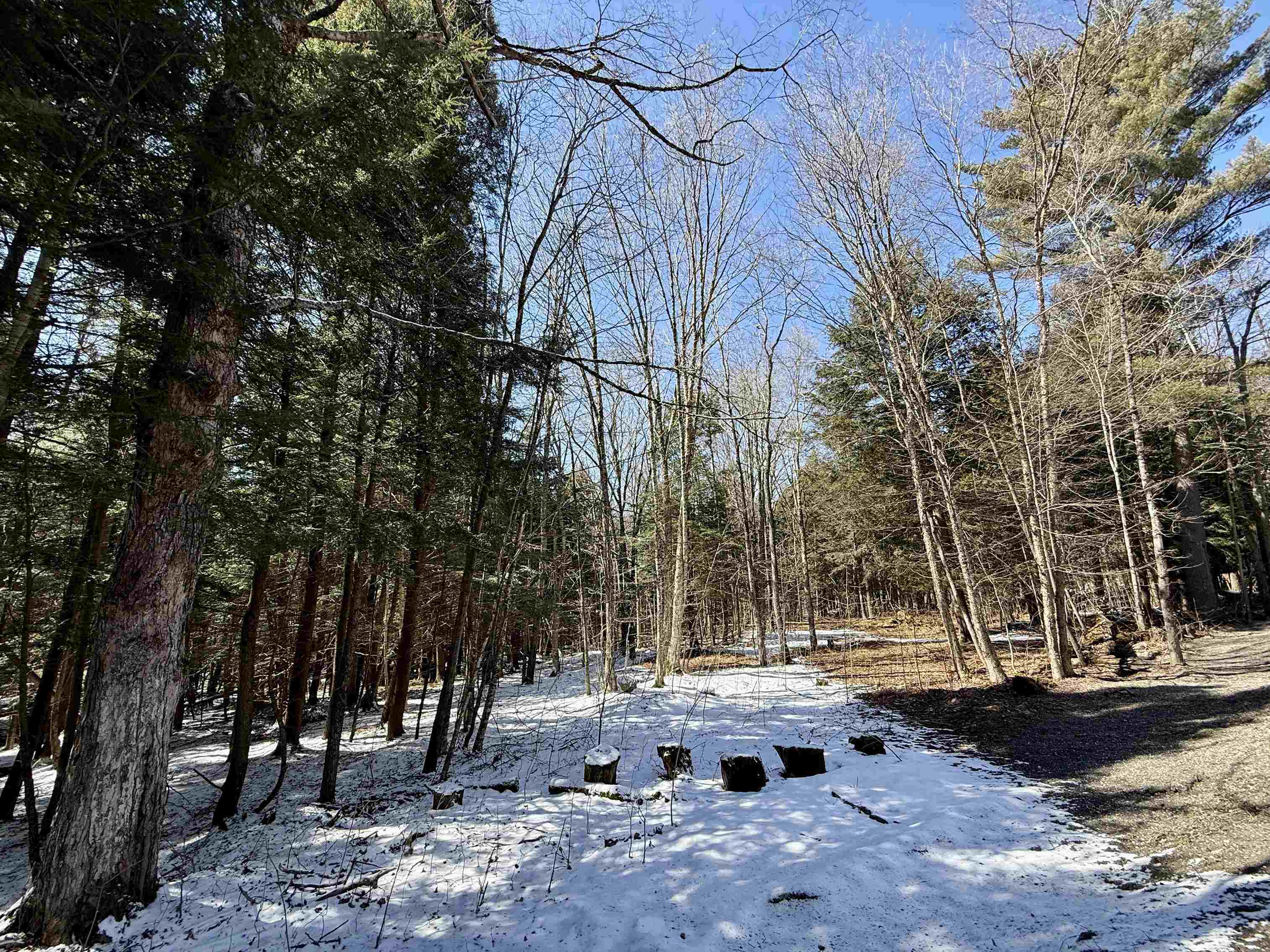 Tbd Plot Road Property Photo 15