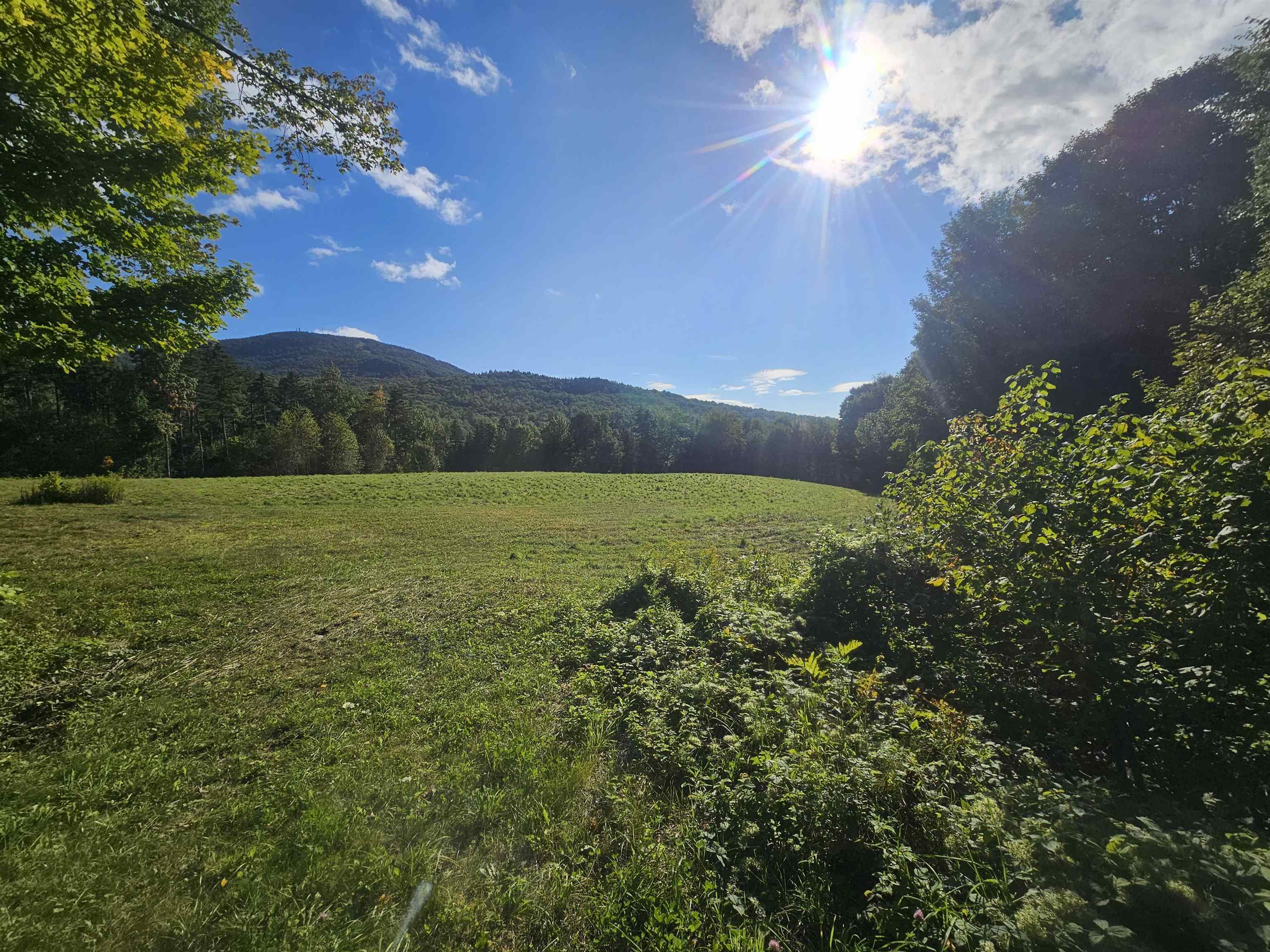 Burke Real Estate Listings Main Image