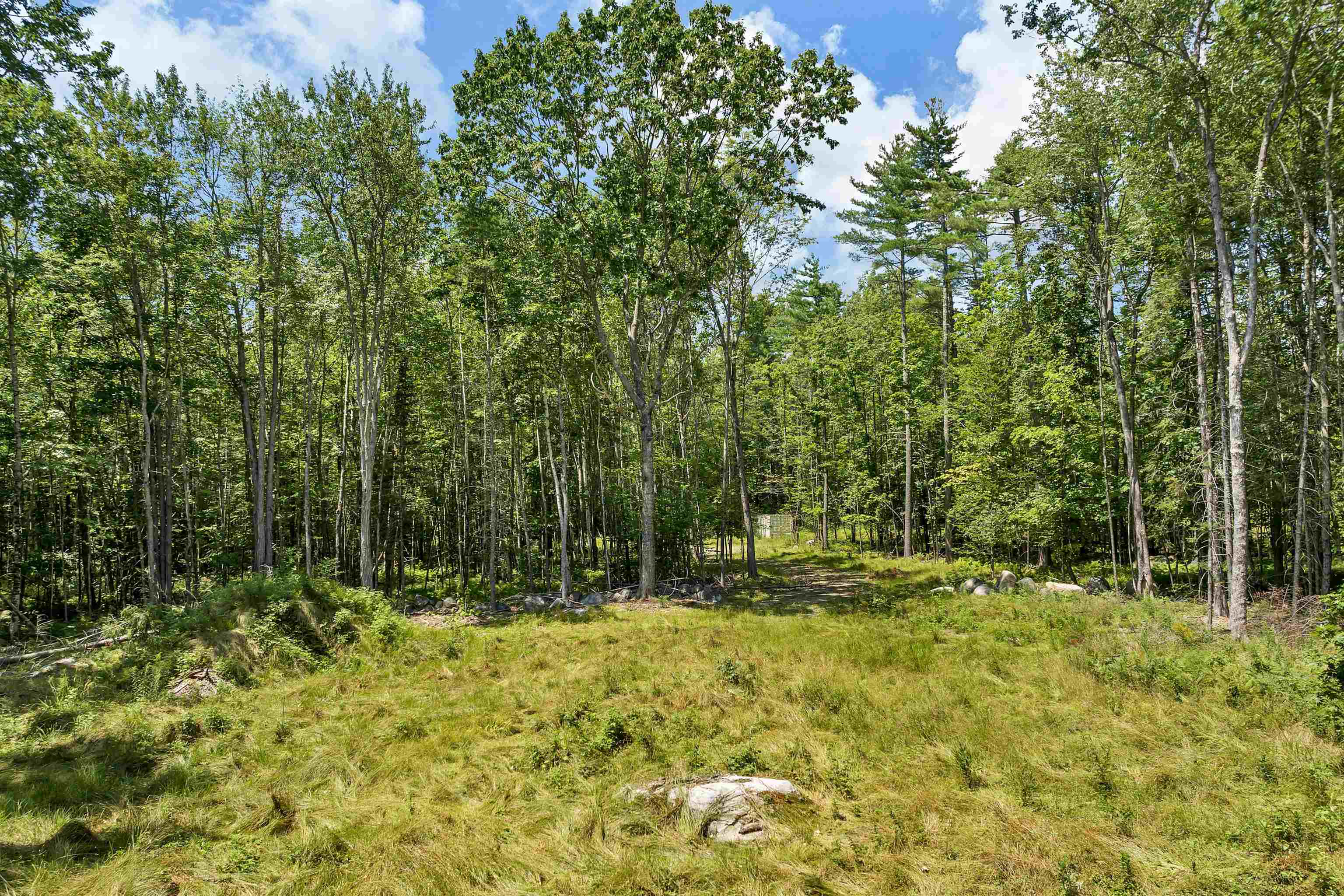 527 Governor Wentworth Highway Property Photo 5