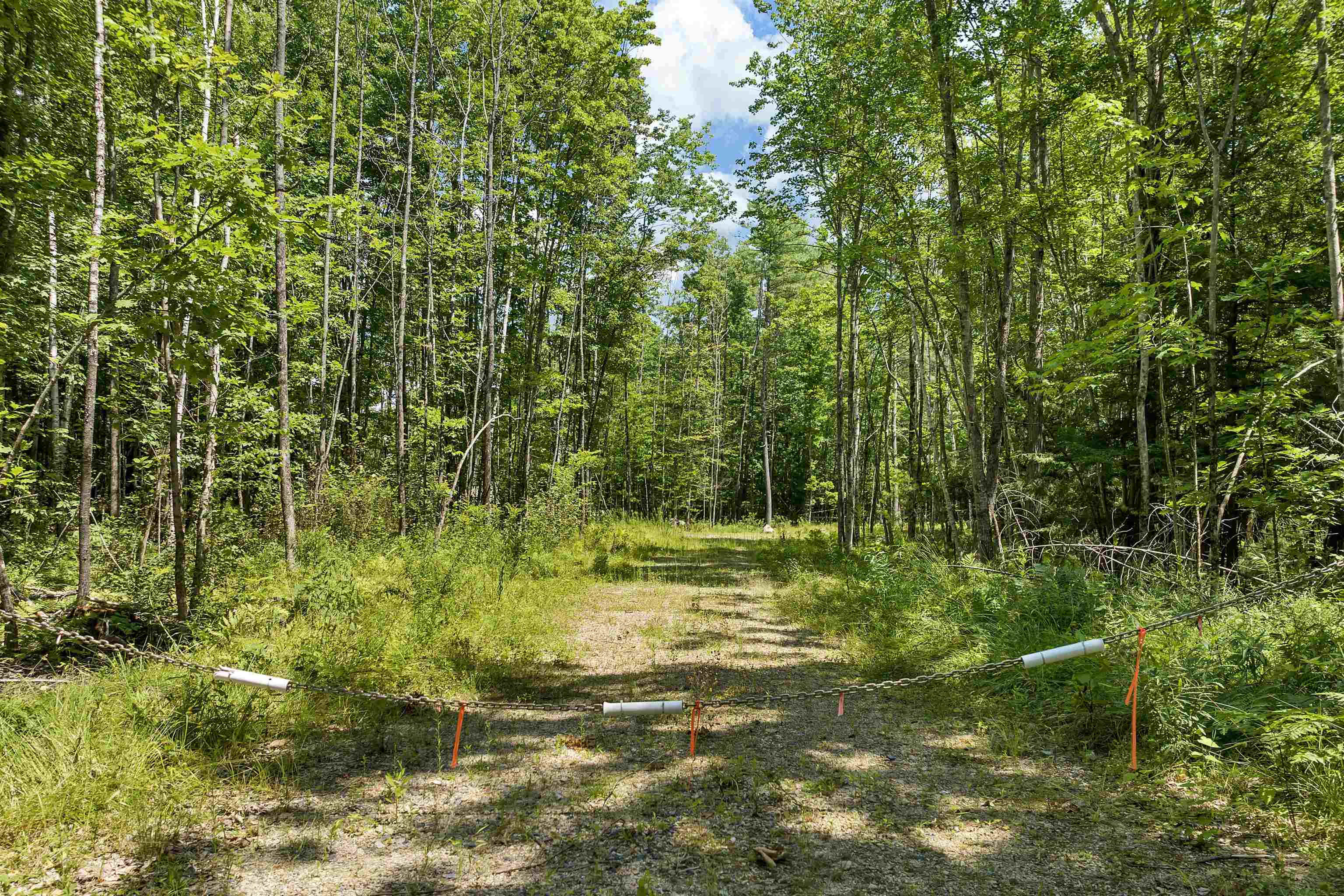 527 Governor Wentworth Highway Property Photo 6