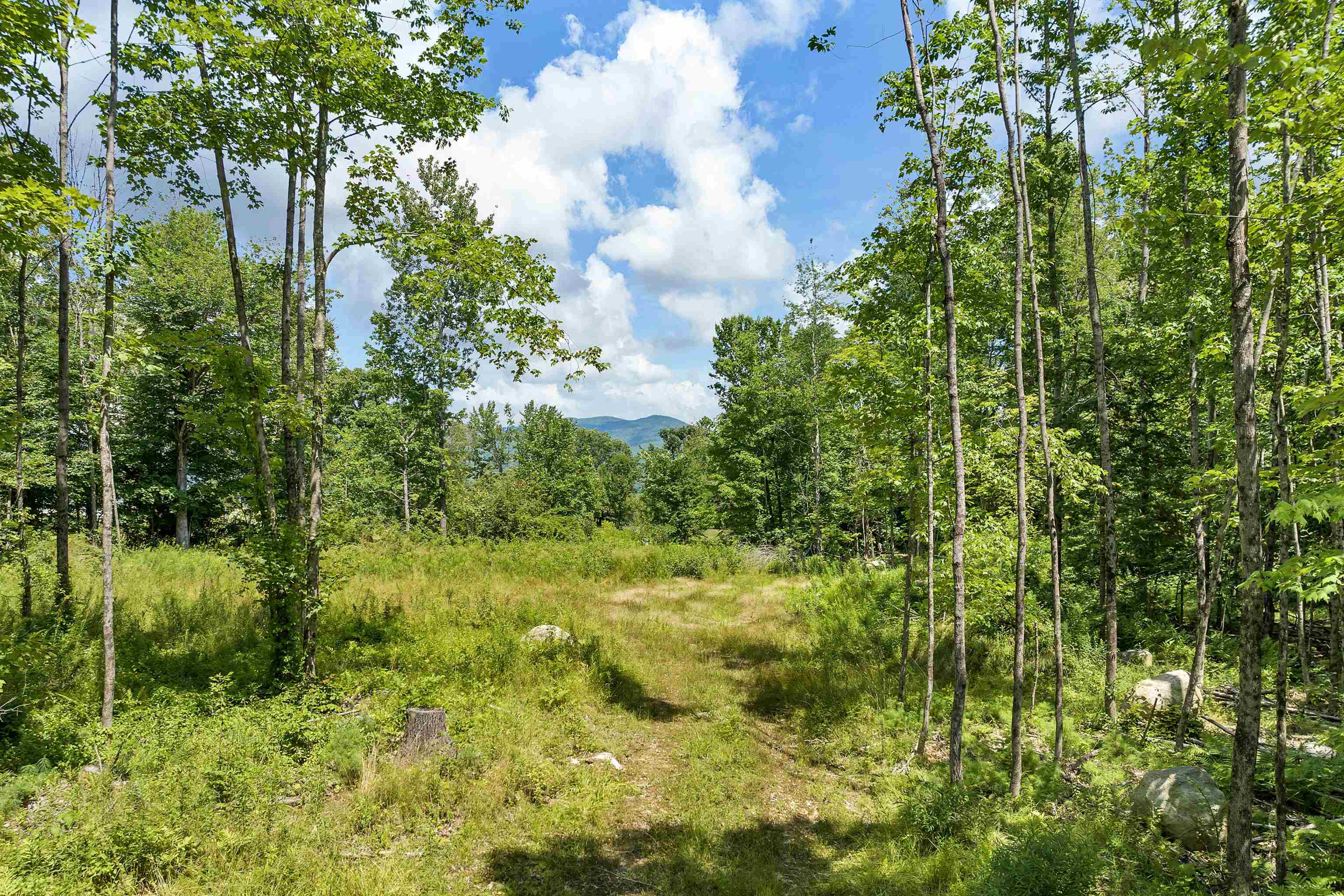 527 Governor Wentworth Highway Property Photo 7
