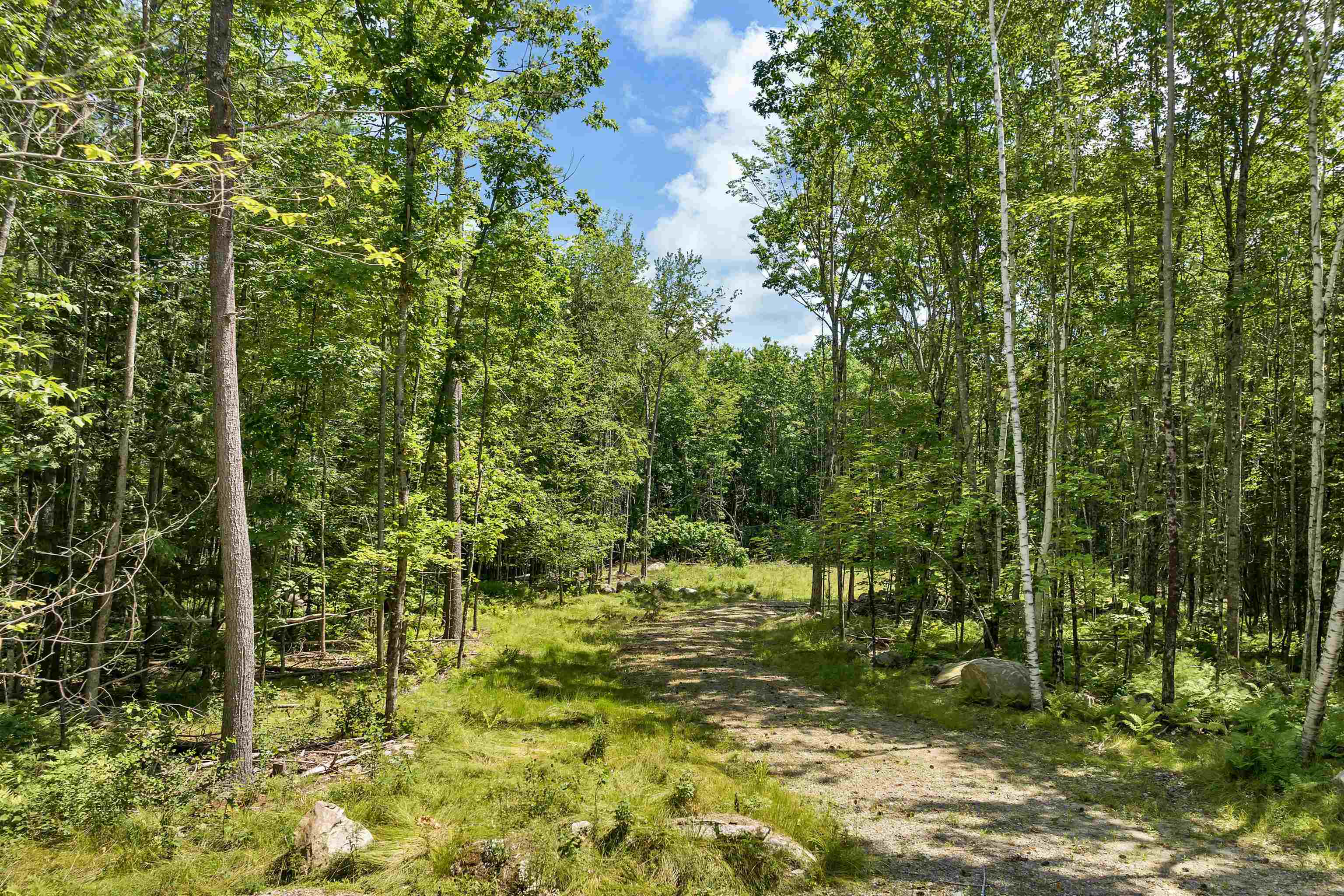 527 Governor Wentworth Highway Property Photo 8