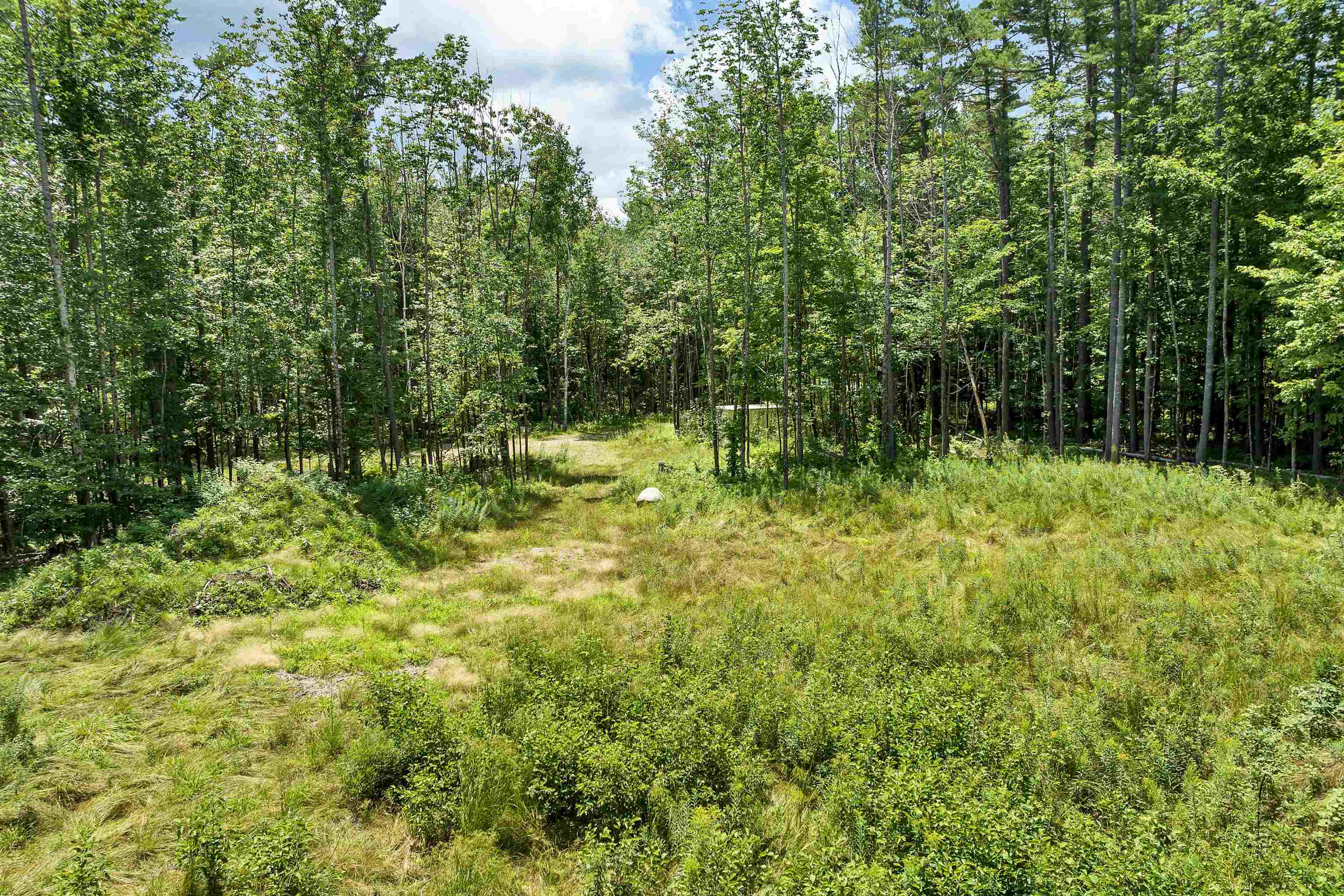 527 Governor Wentworth Highway Property Photo 15