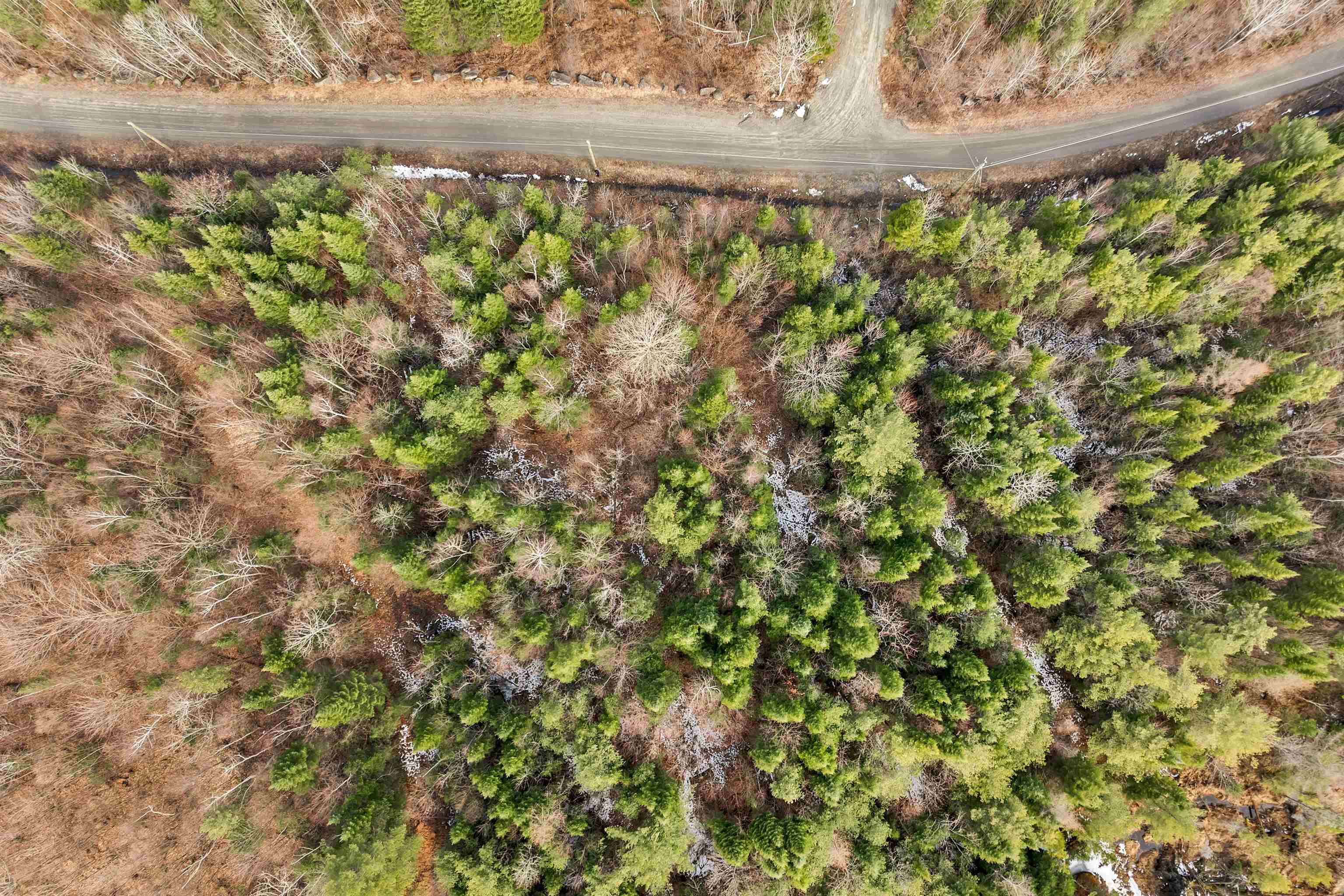 Lot 109 Steeple View Drive Property Photo 6