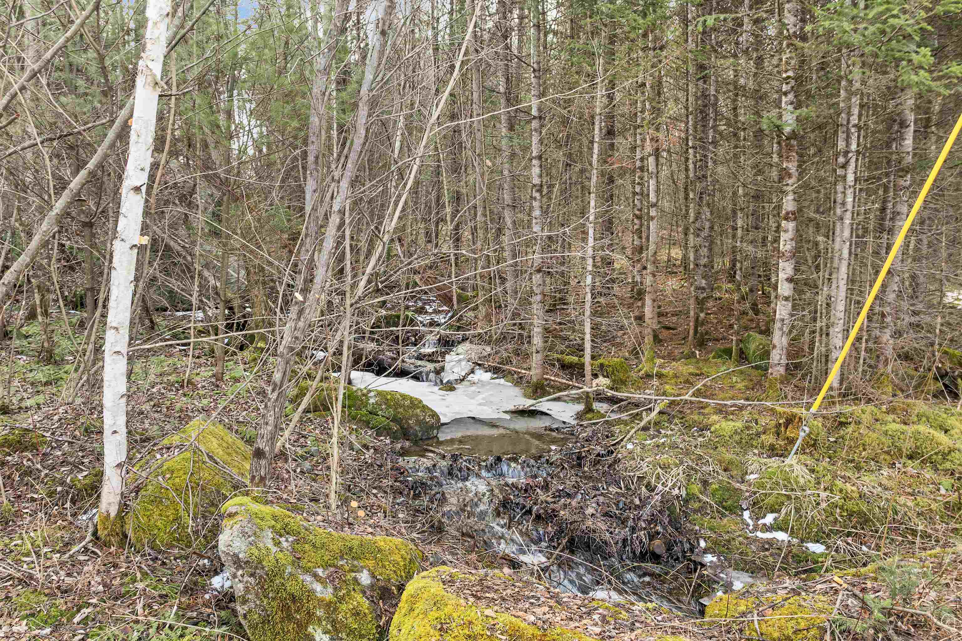 Lot 109 Steeple View Drive Property Photo 10