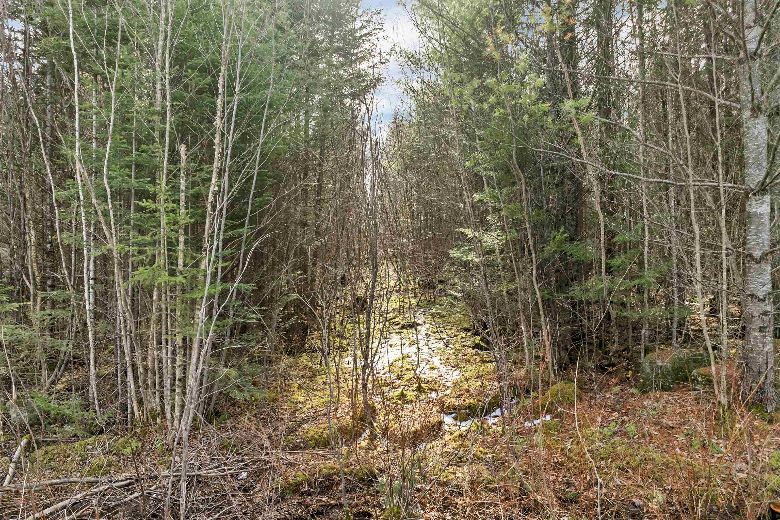 Lot 109 Steeple View Drive Property Photo 11