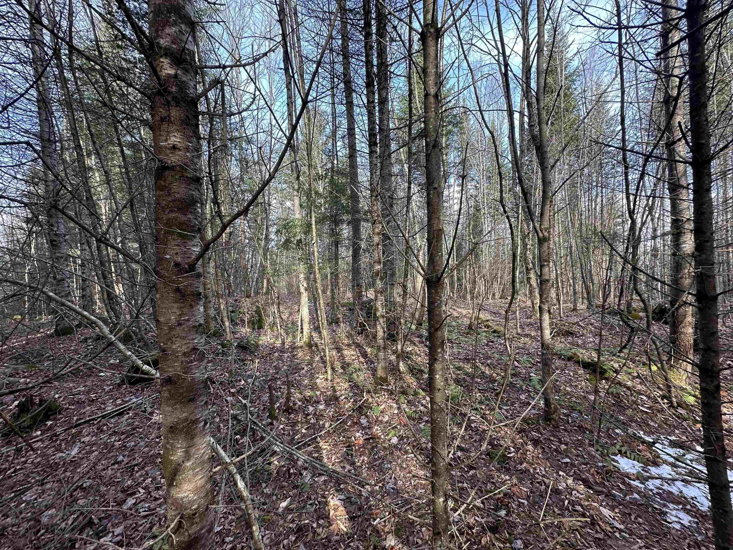Lot 109 Steeple View Drive Property Photo 12