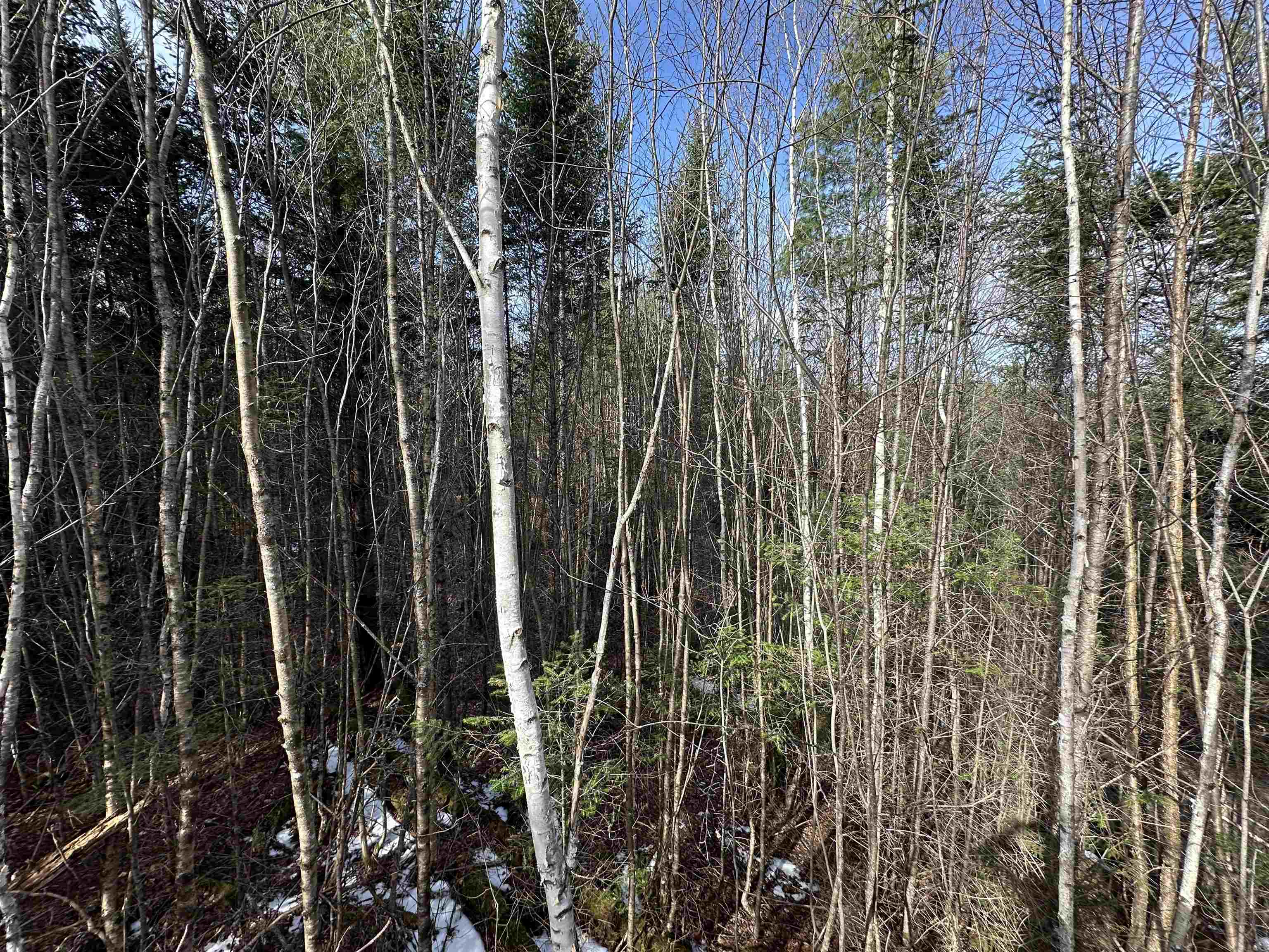 Lot 109 Steeple View Drive Property Photo 13