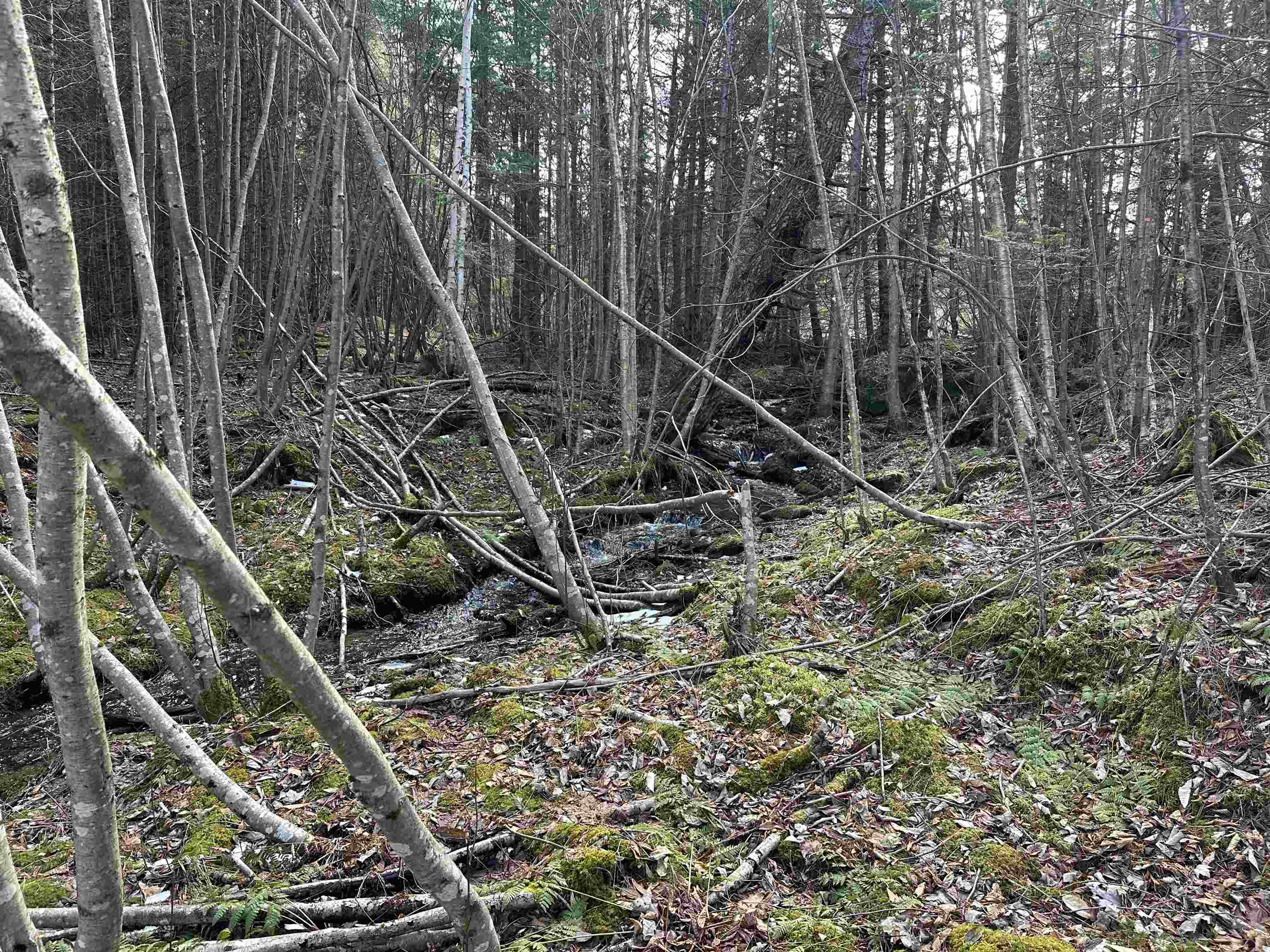 Lot 109 Steeple View Drive Property Photo 14
