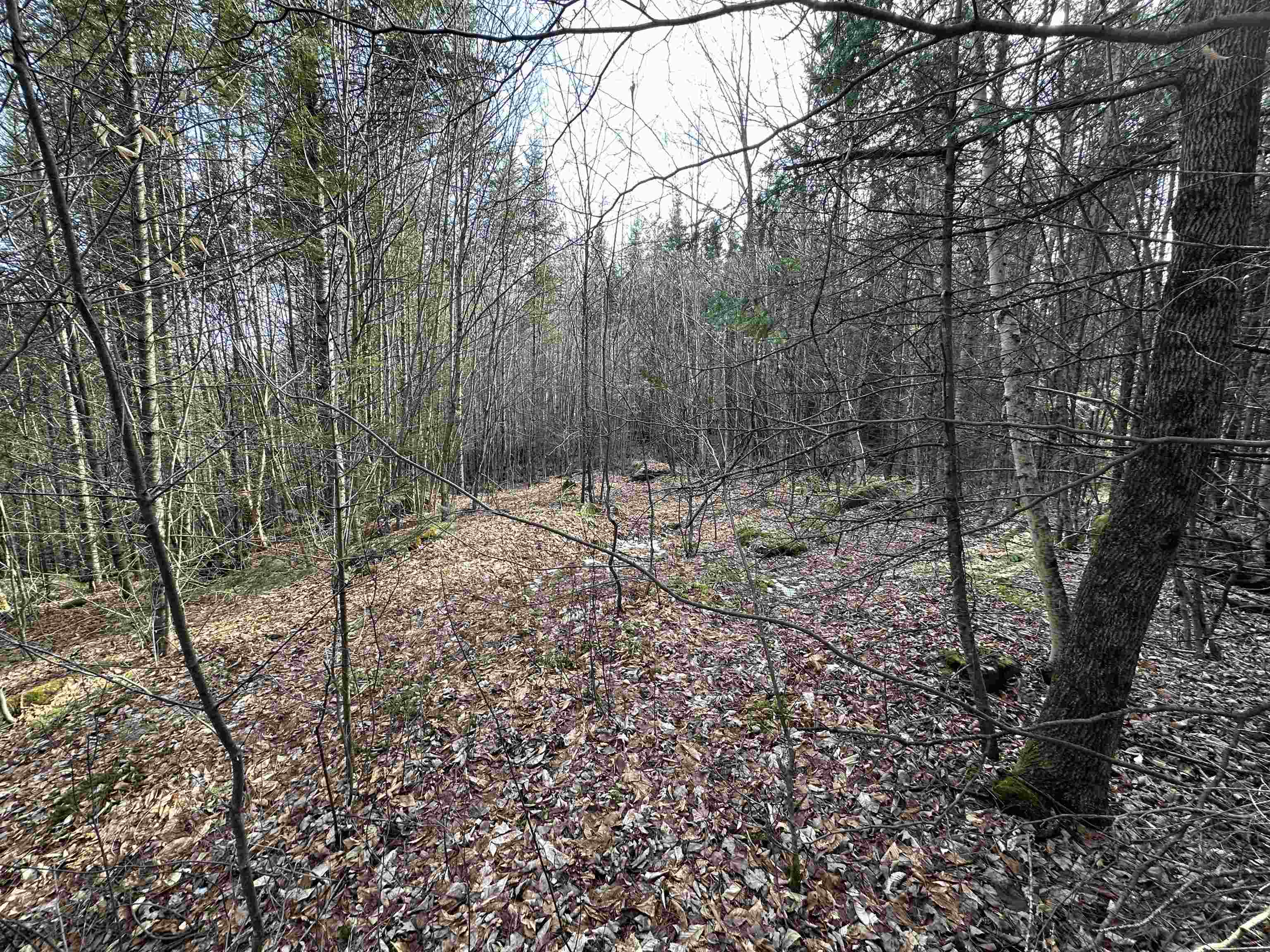 Lot 109 Steeple View Drive Property Photo 15