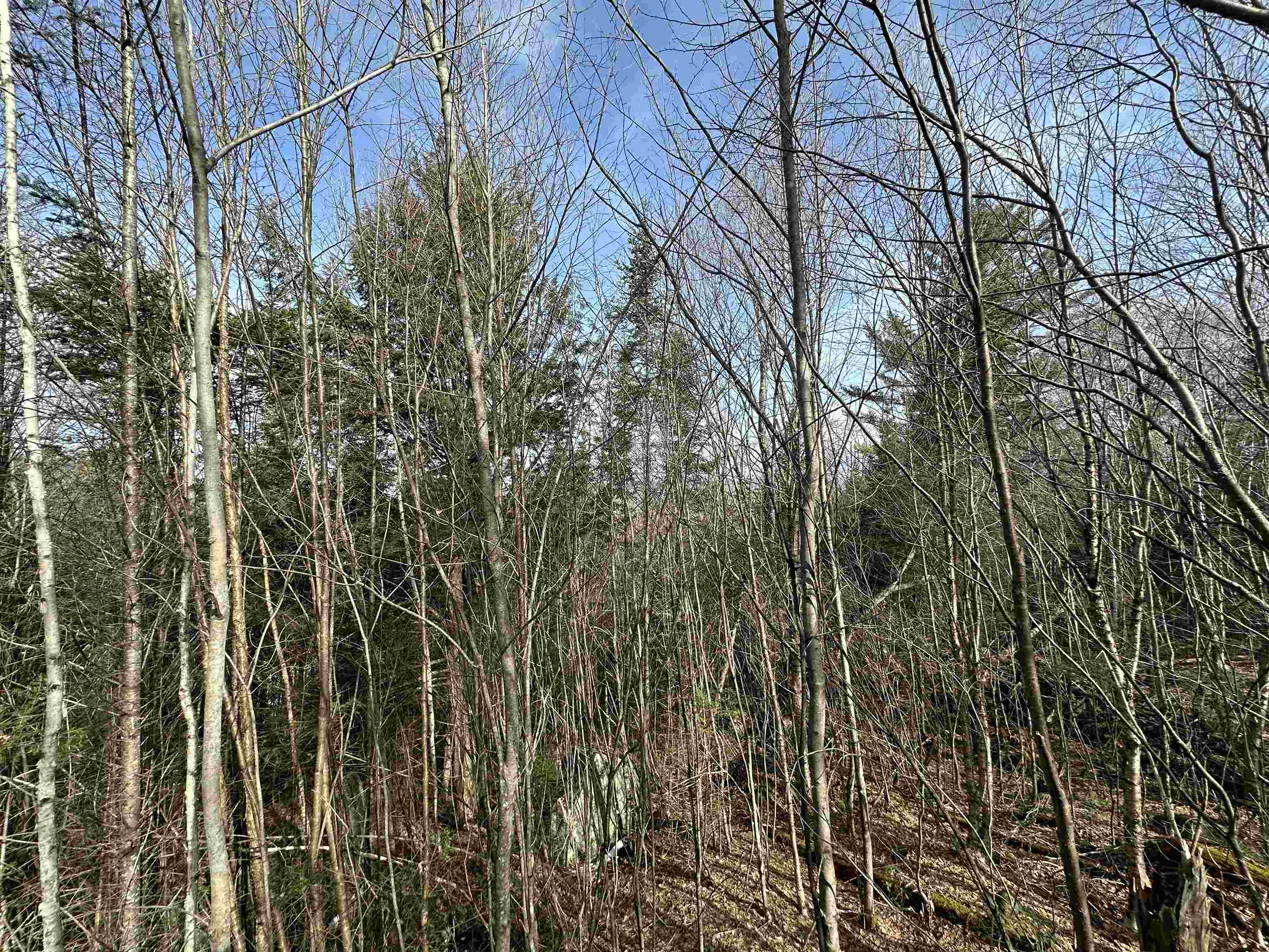 Lot 109 Steeple View Drive Property Photo 16
